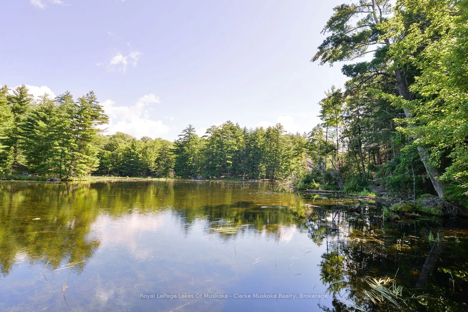 38 Island 130 Severn River