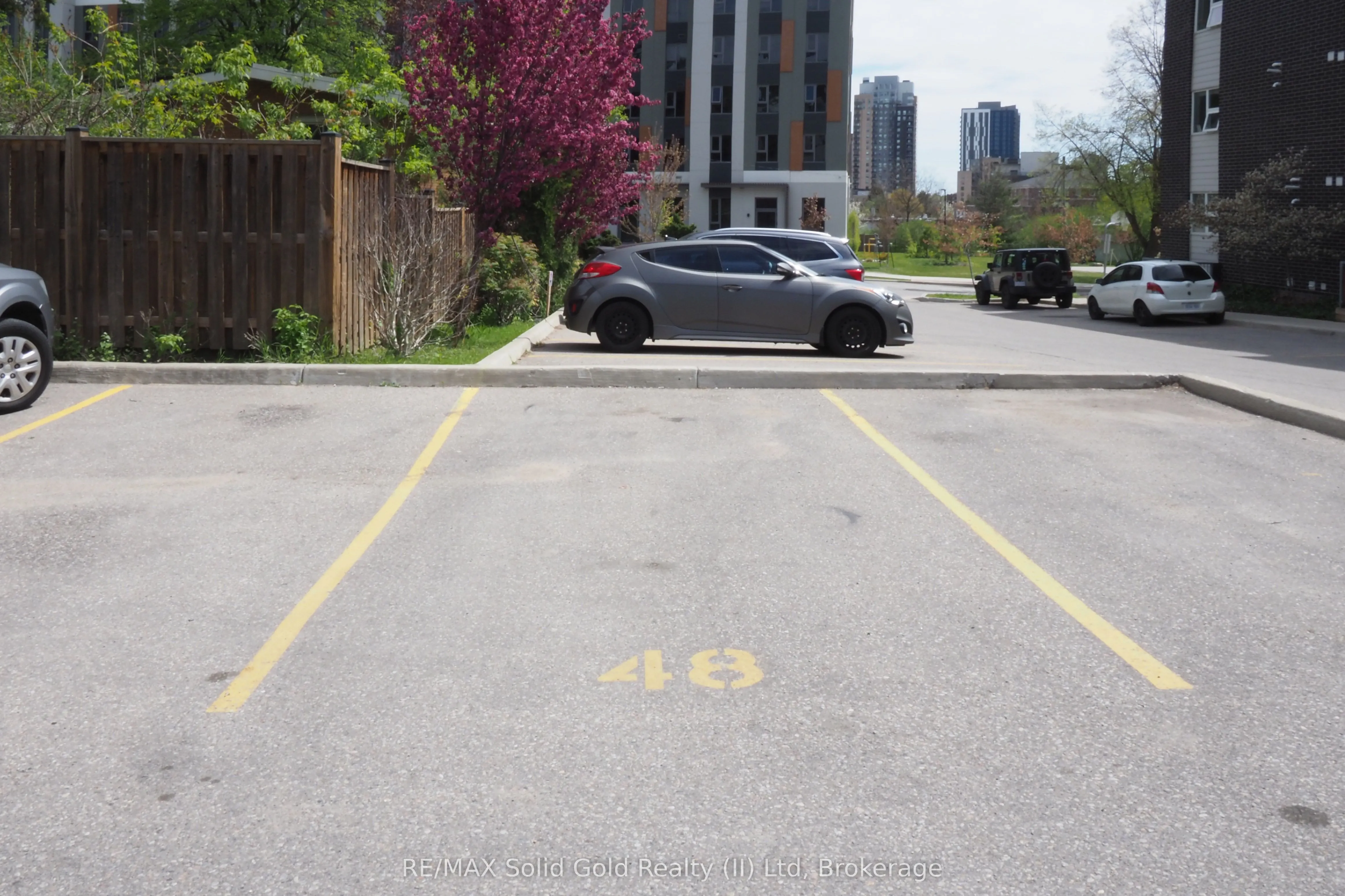 288 Albert Street #208