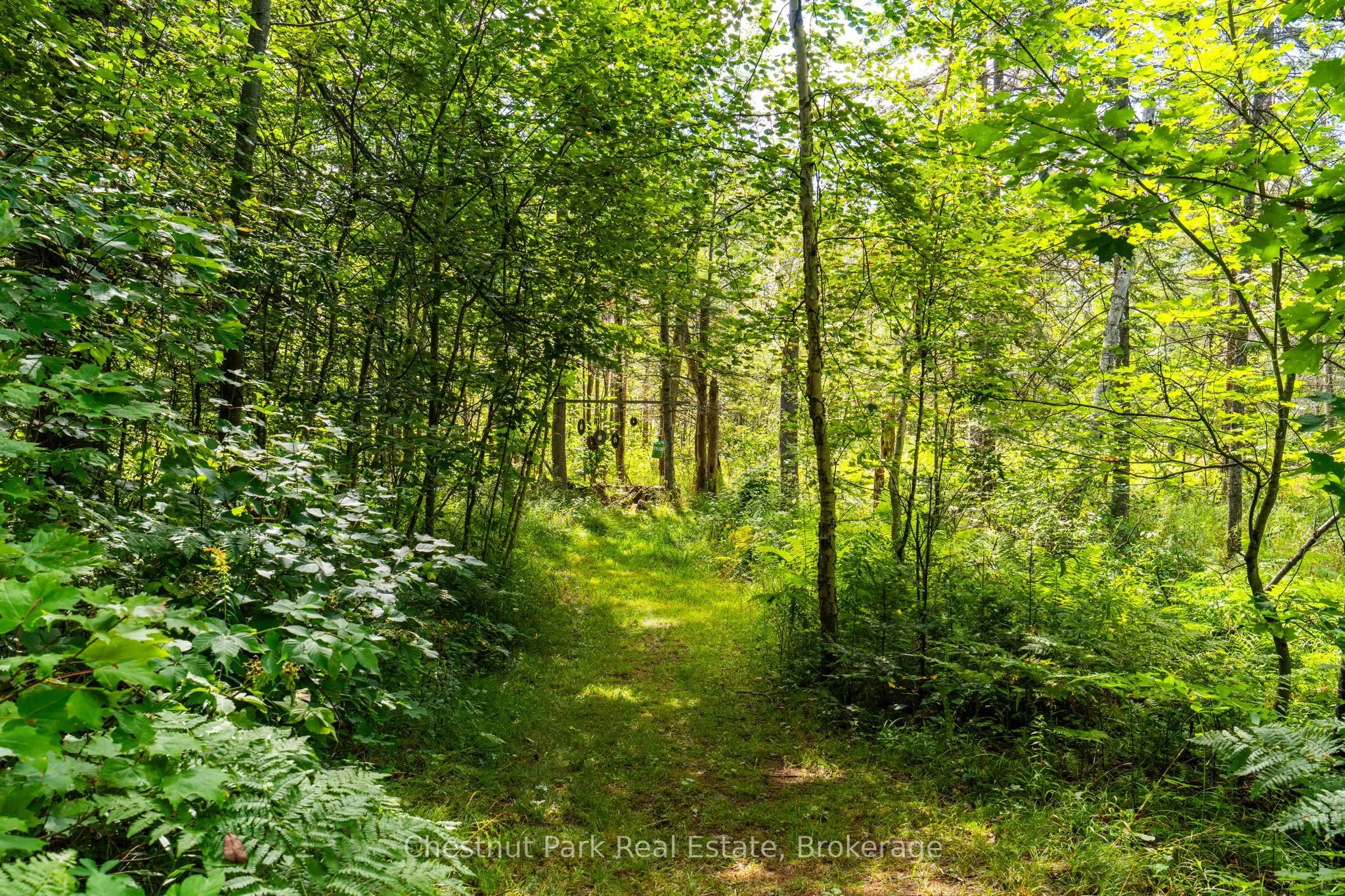 521 Old Muskoka Road