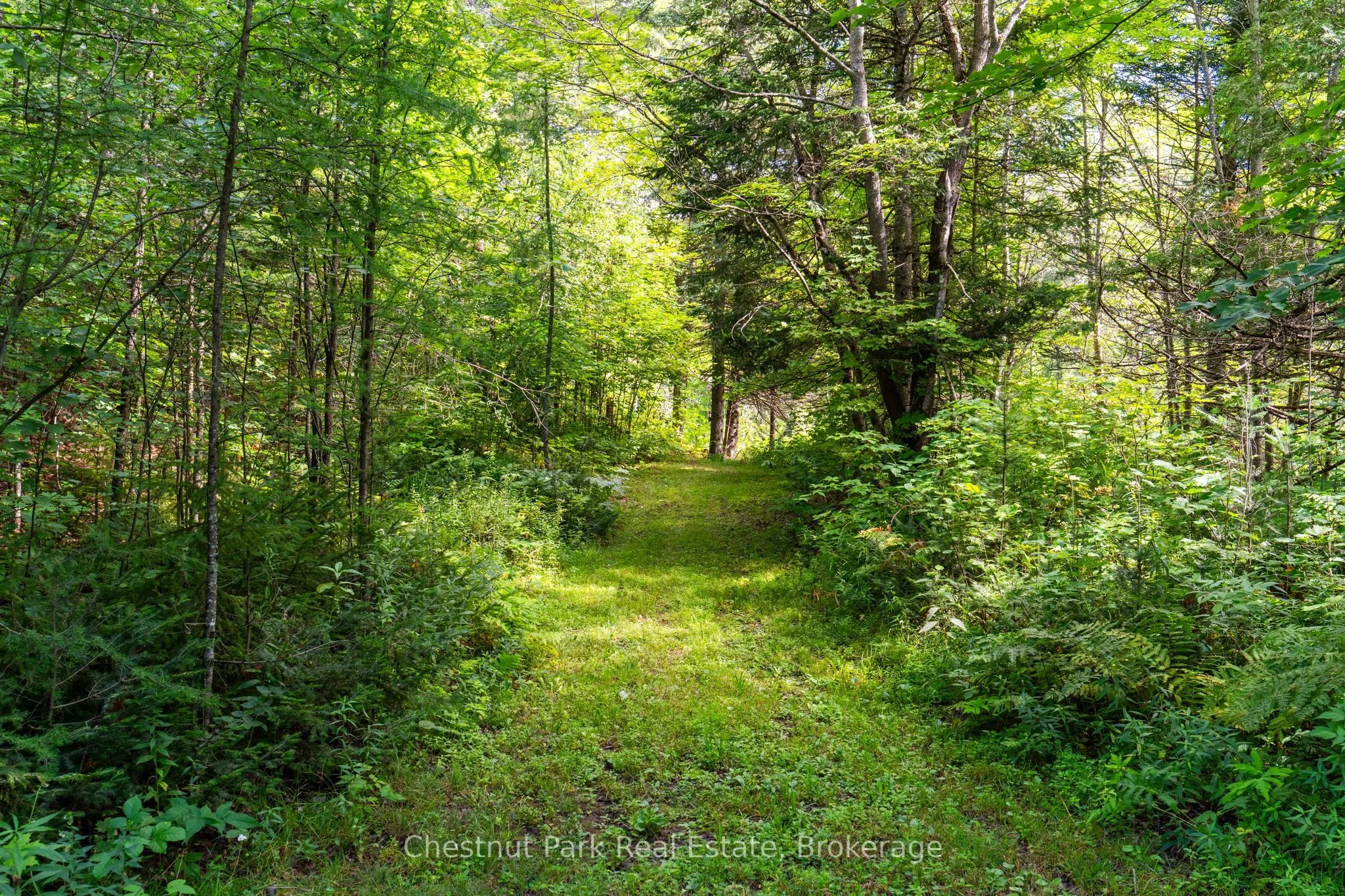 521 Old Muskoka Road