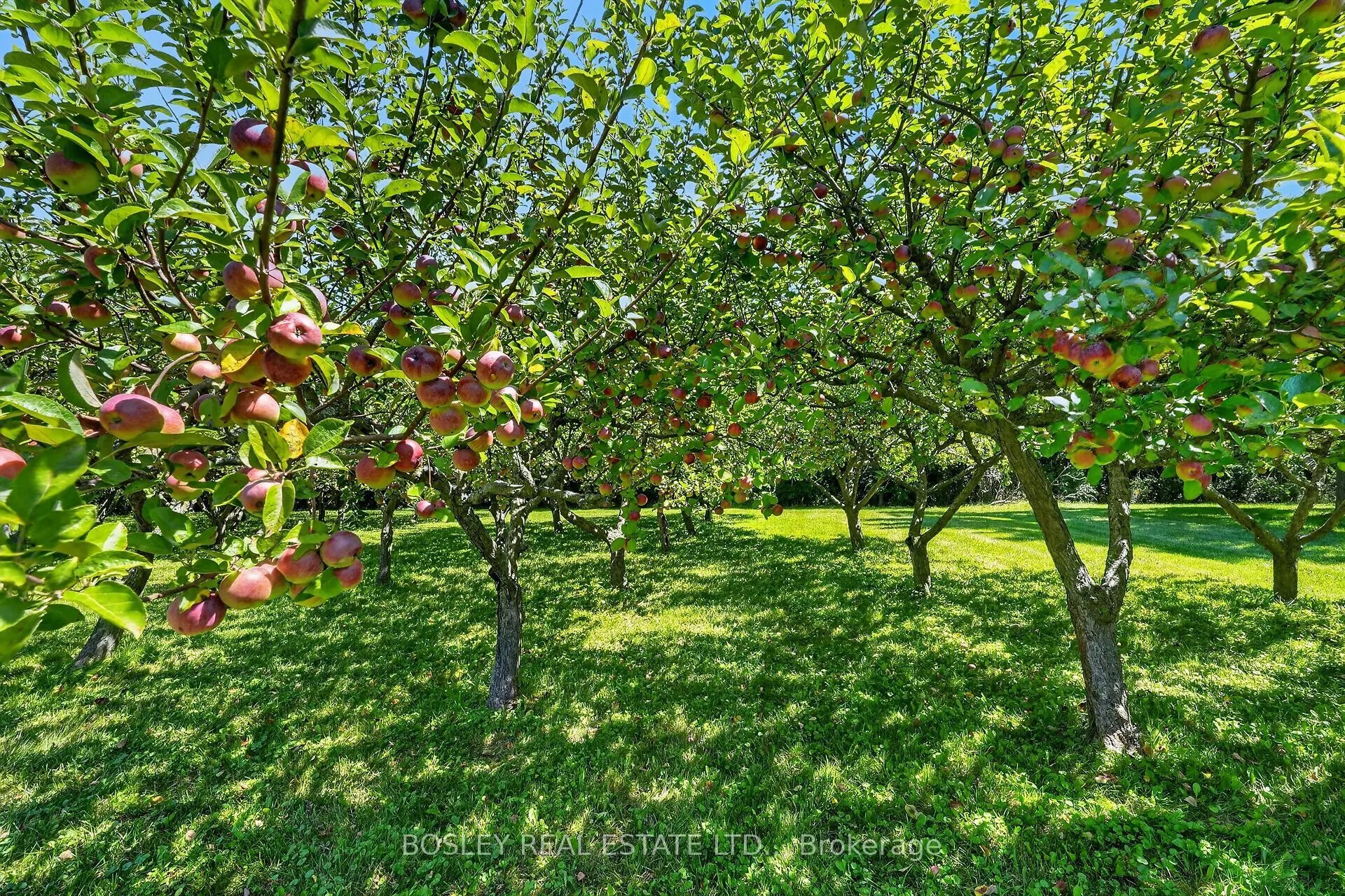 1073 CONCESSION 2 ROAD