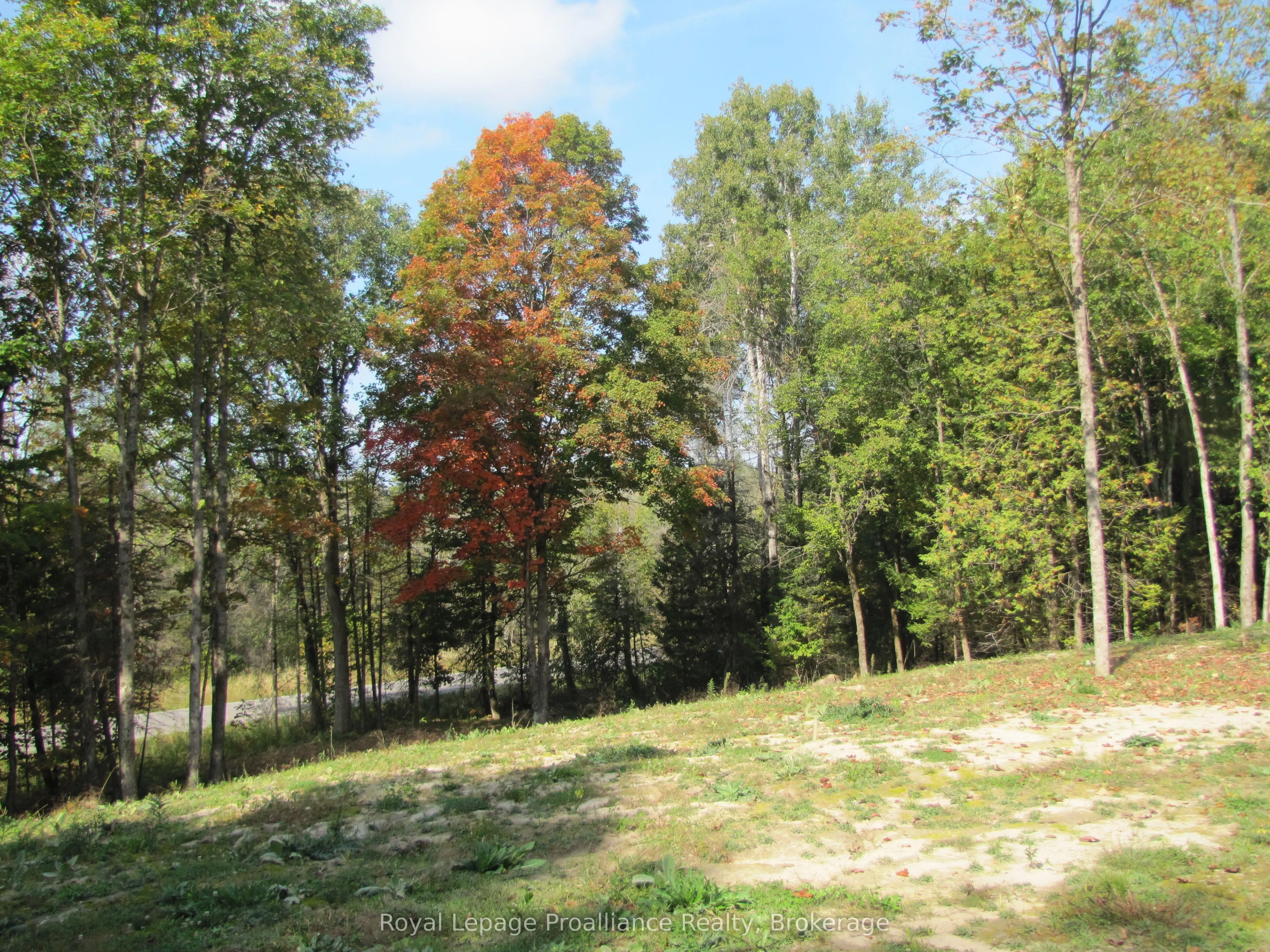 1054 Centre Line Road