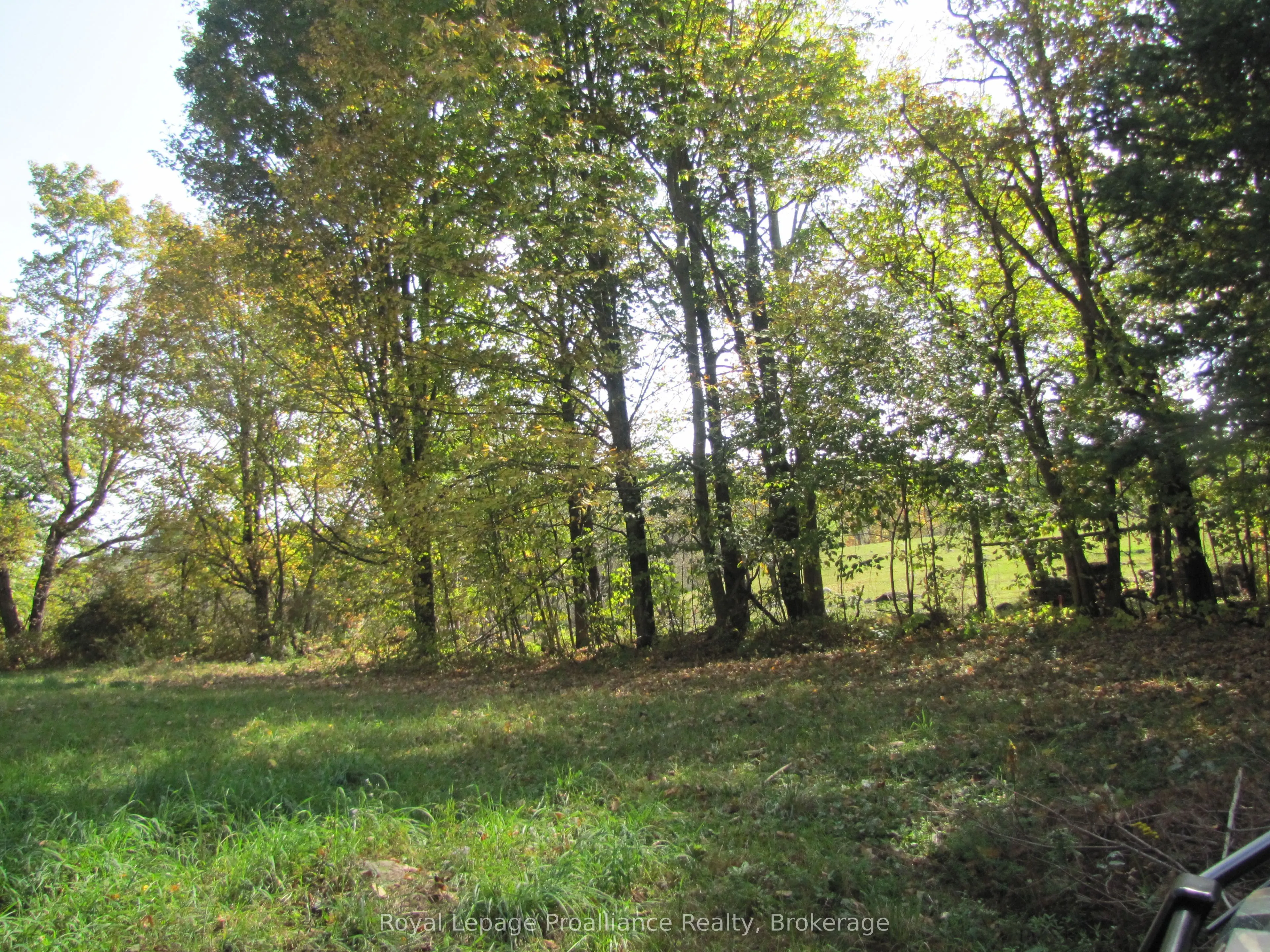 1054 Centre Line Road