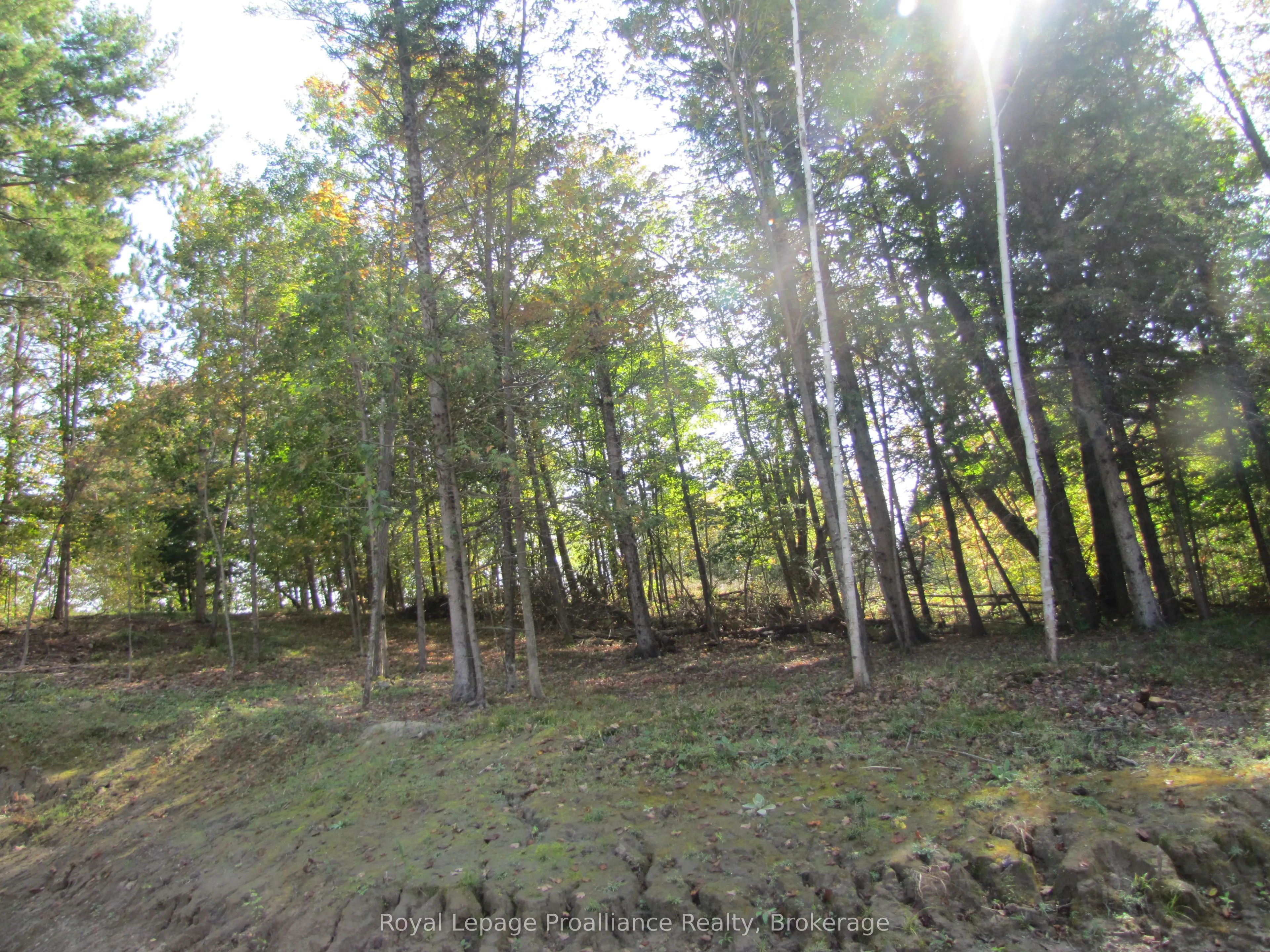 1054 Centre Line Road