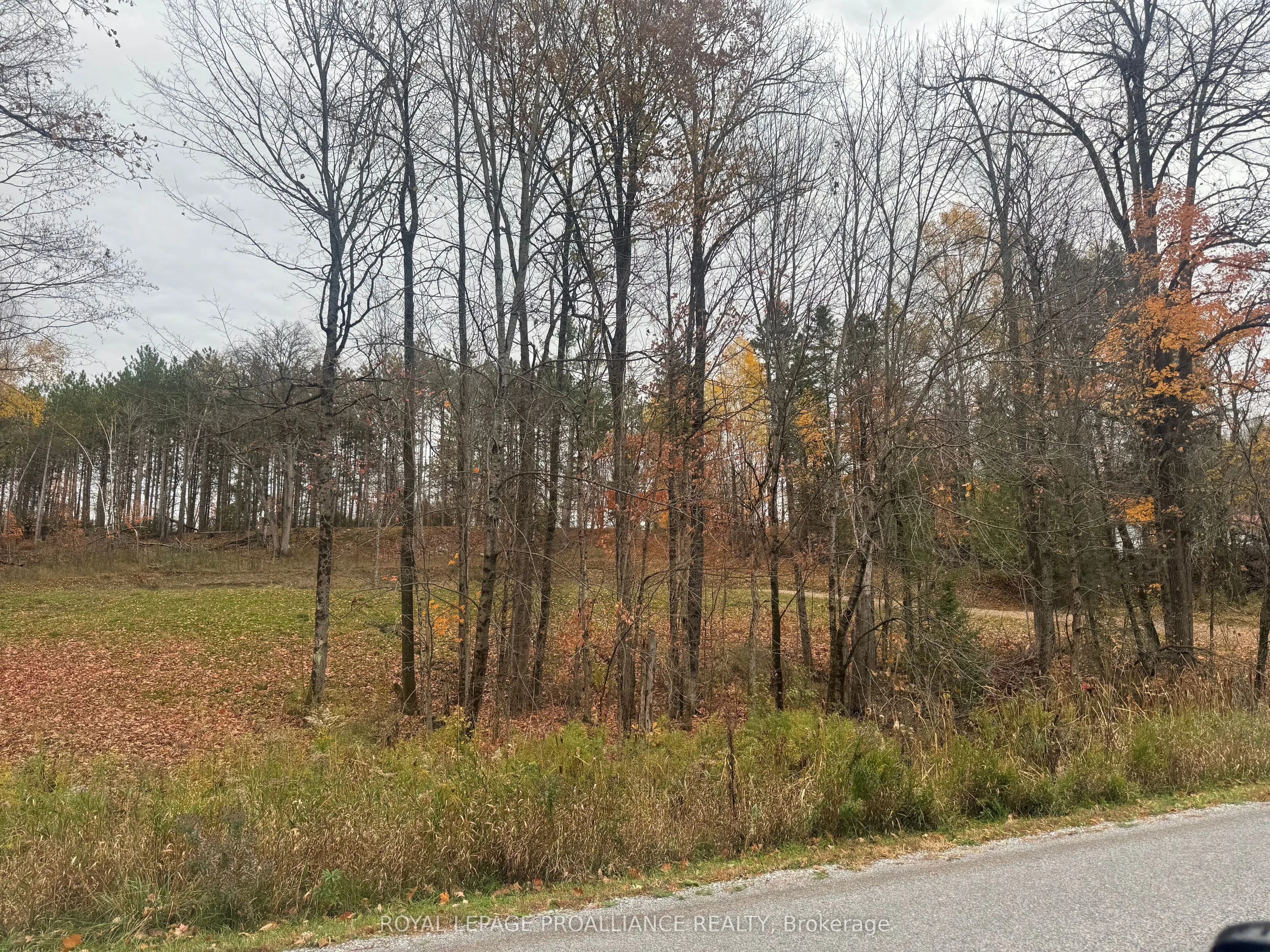 1054 Centre Line Road