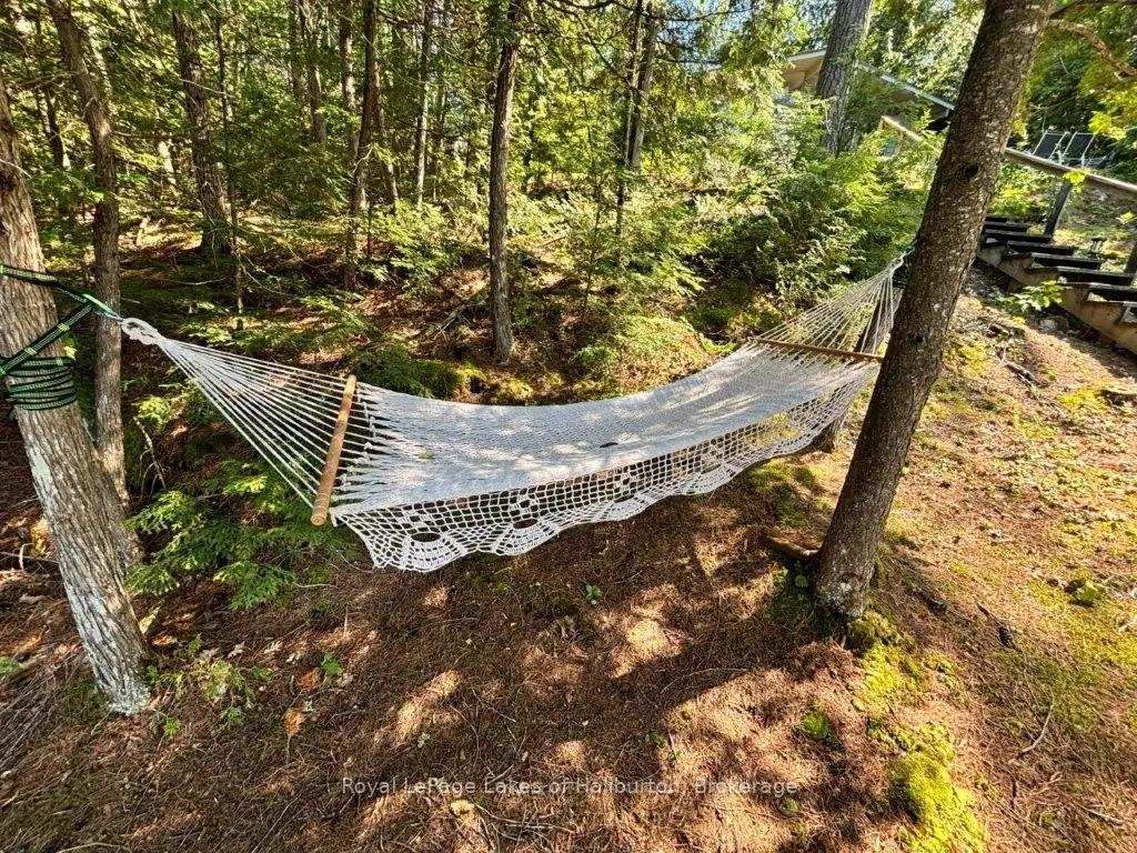 481 Crego Lake Road