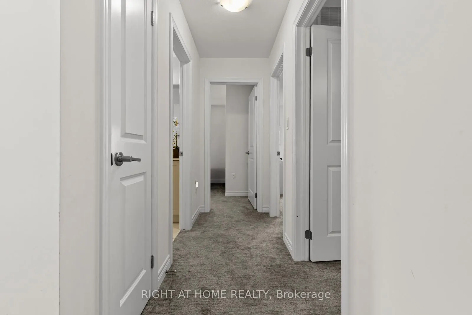 131 Terrace Drive