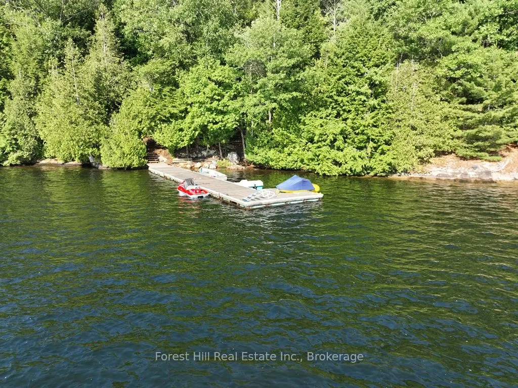 10689 Kawagama Lake WAO
