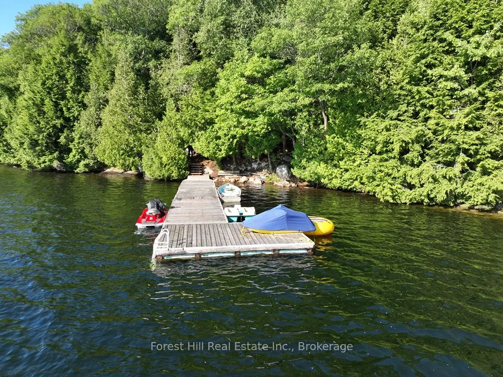 10689 Kawagama Lake WAO