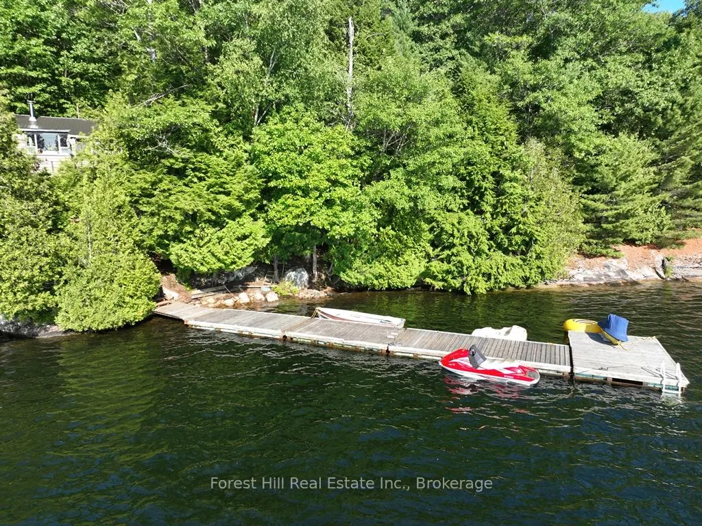 10689 Kawagama Lake WAO