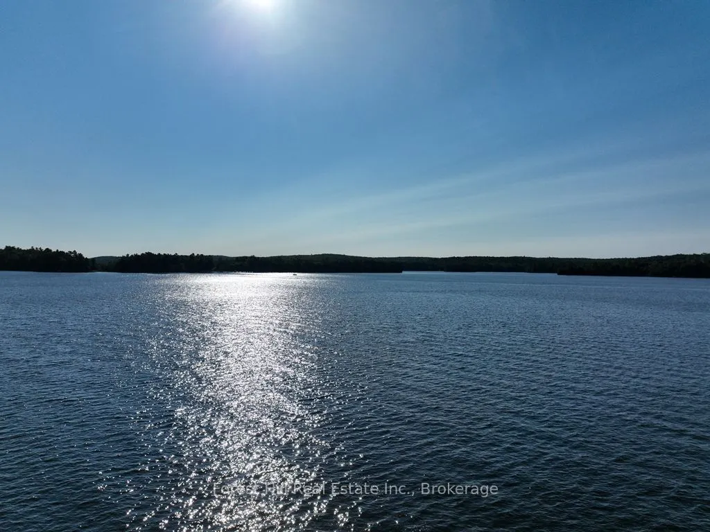 10689 Kawagama Lake WAO