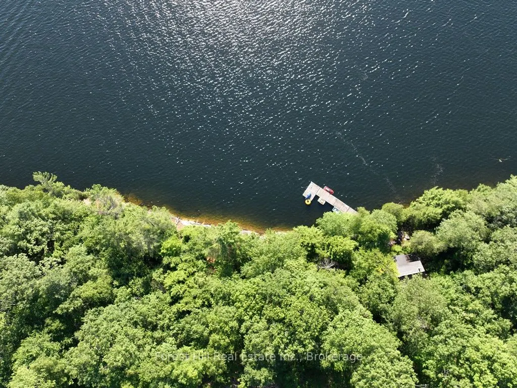 10689 Kawagama Lake WAO