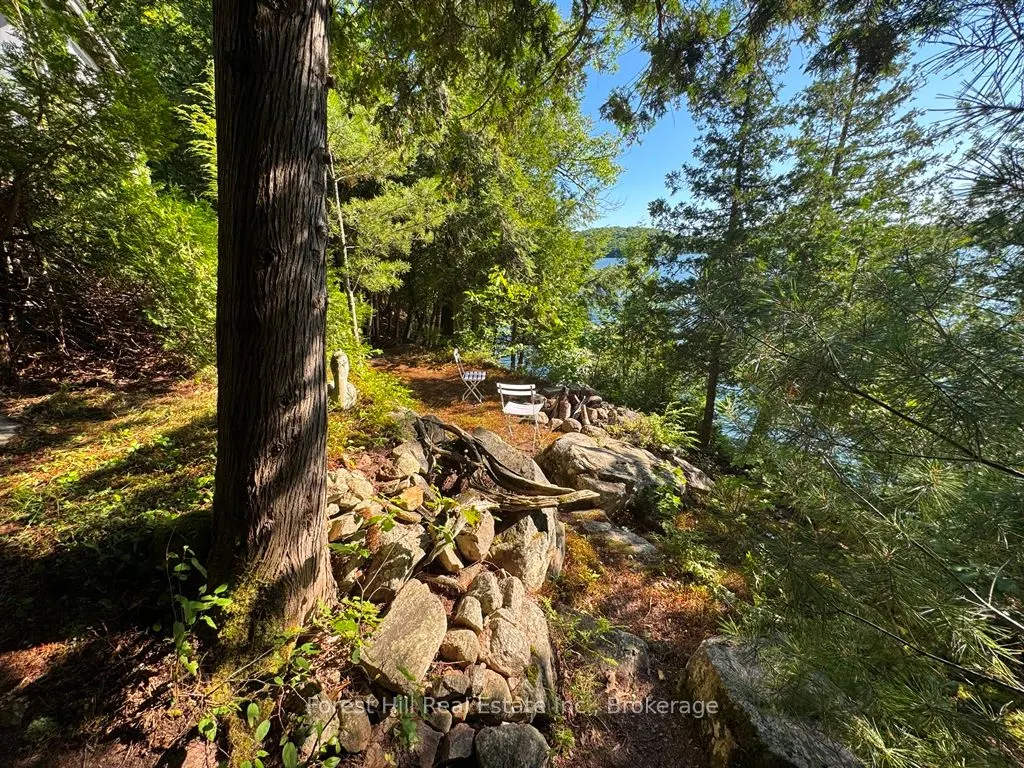 10689 Kawagama Lake WAO