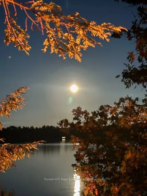 10689 Kawagama Lake WAO