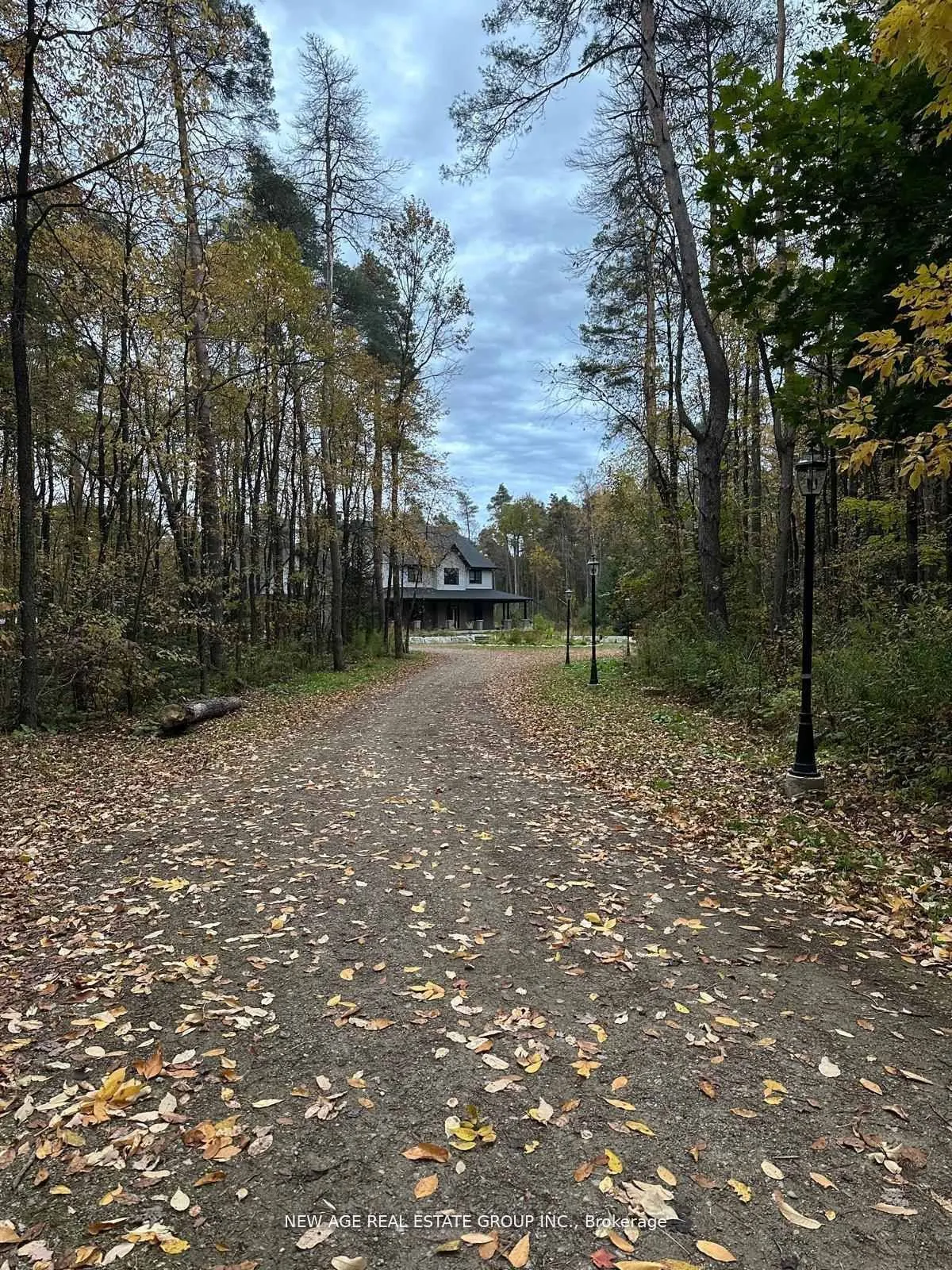 9031 Sideroad 17