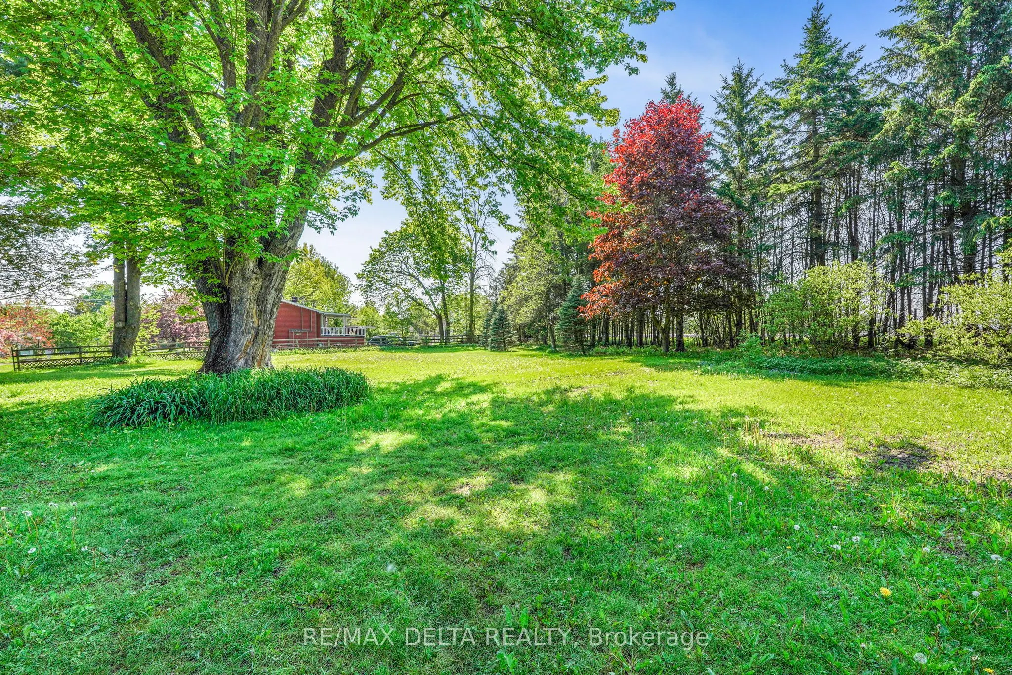 3558 Principale Street