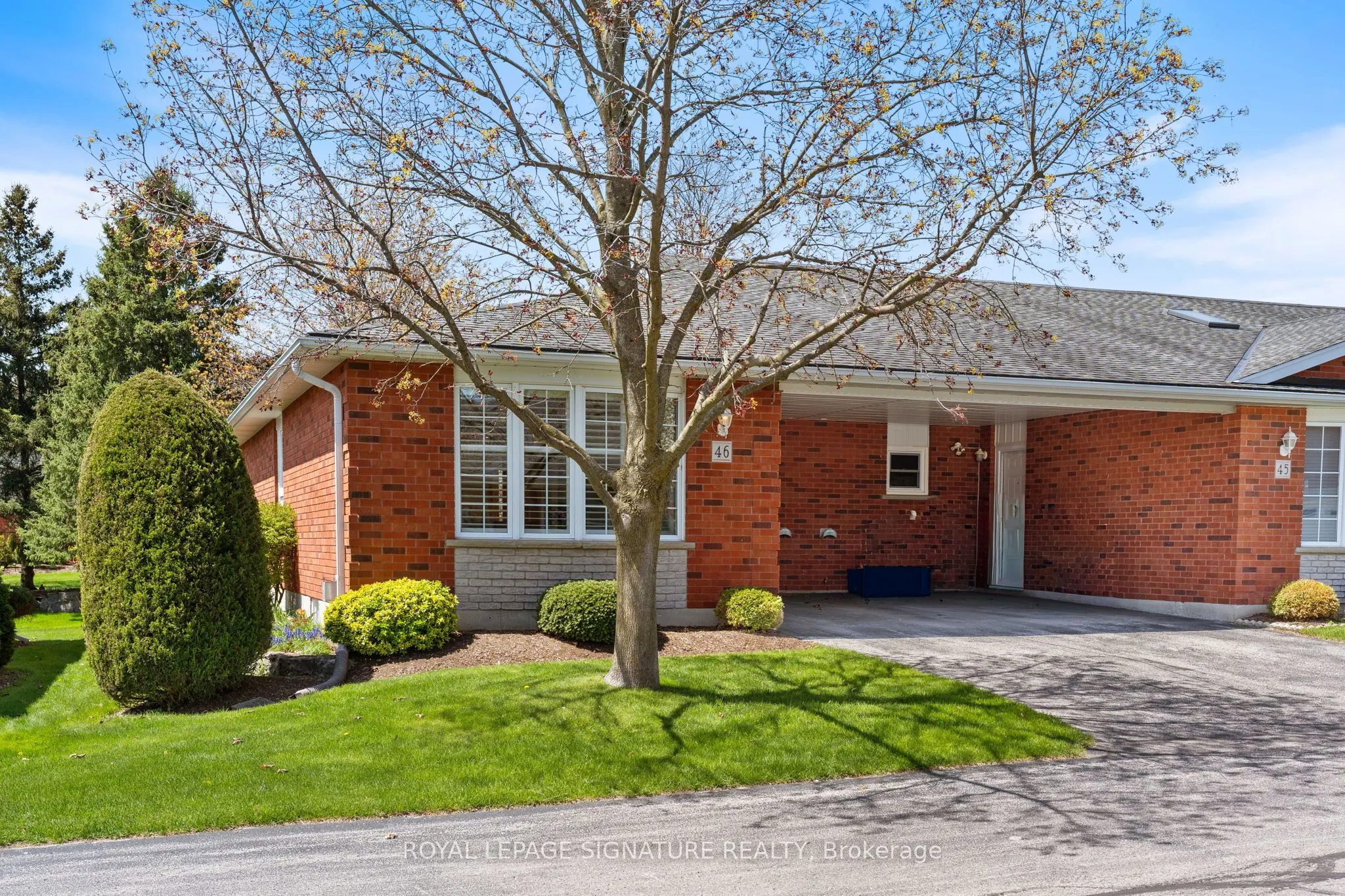 175 Victoria Street #46