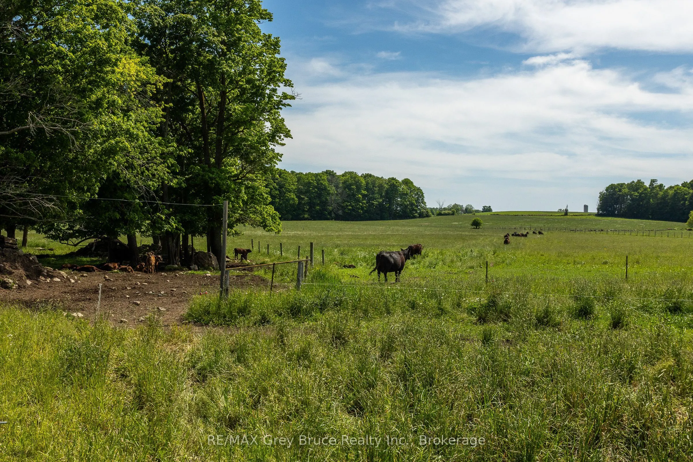122152 Sideroad 12