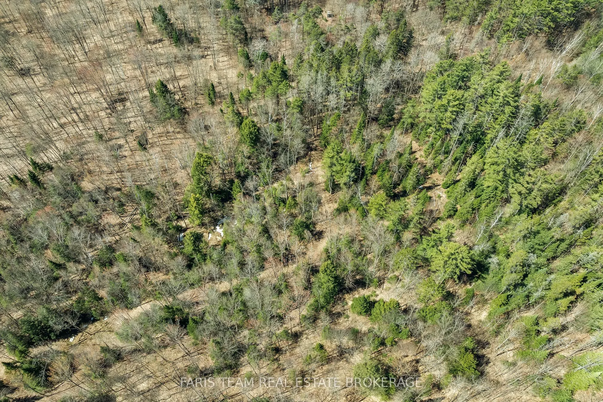 2180-2186 Highway 141