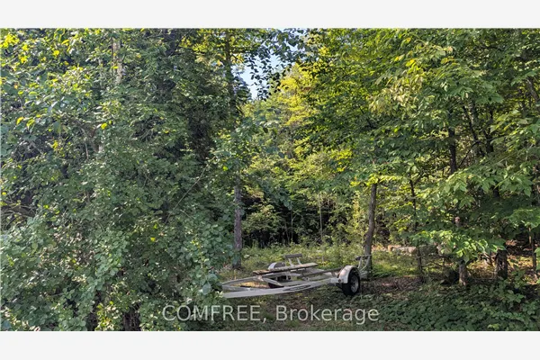4859 Opeongo Road
