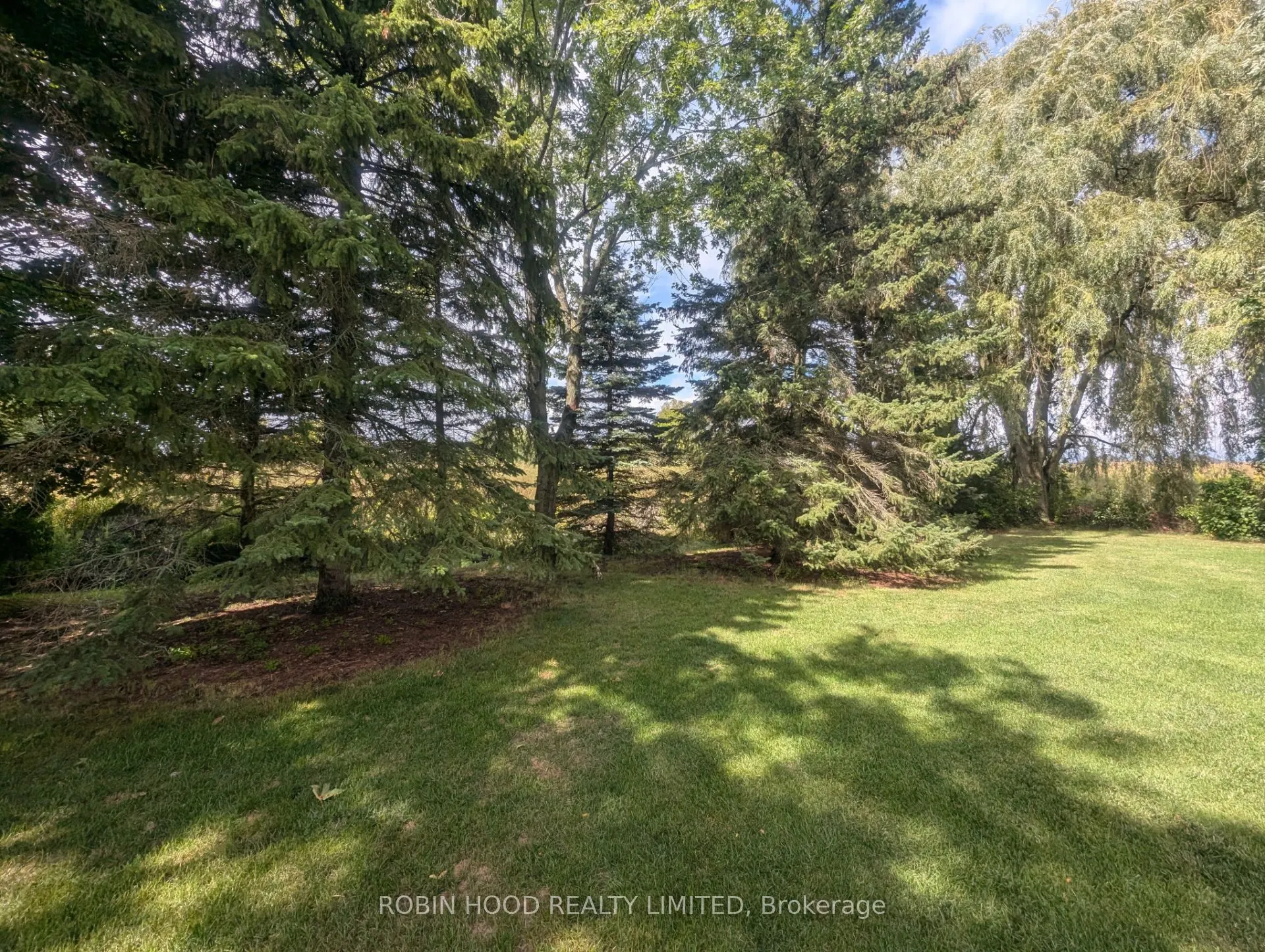 27 Hastings Park Drive
