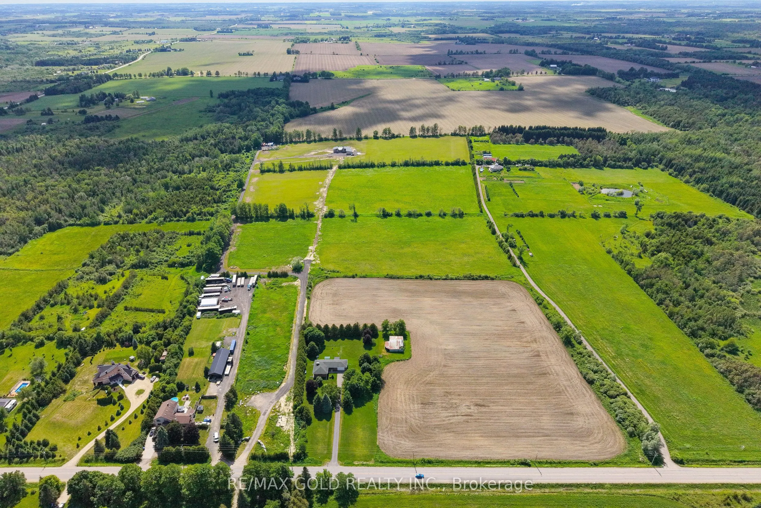 554068 Mono Amaranth Townline