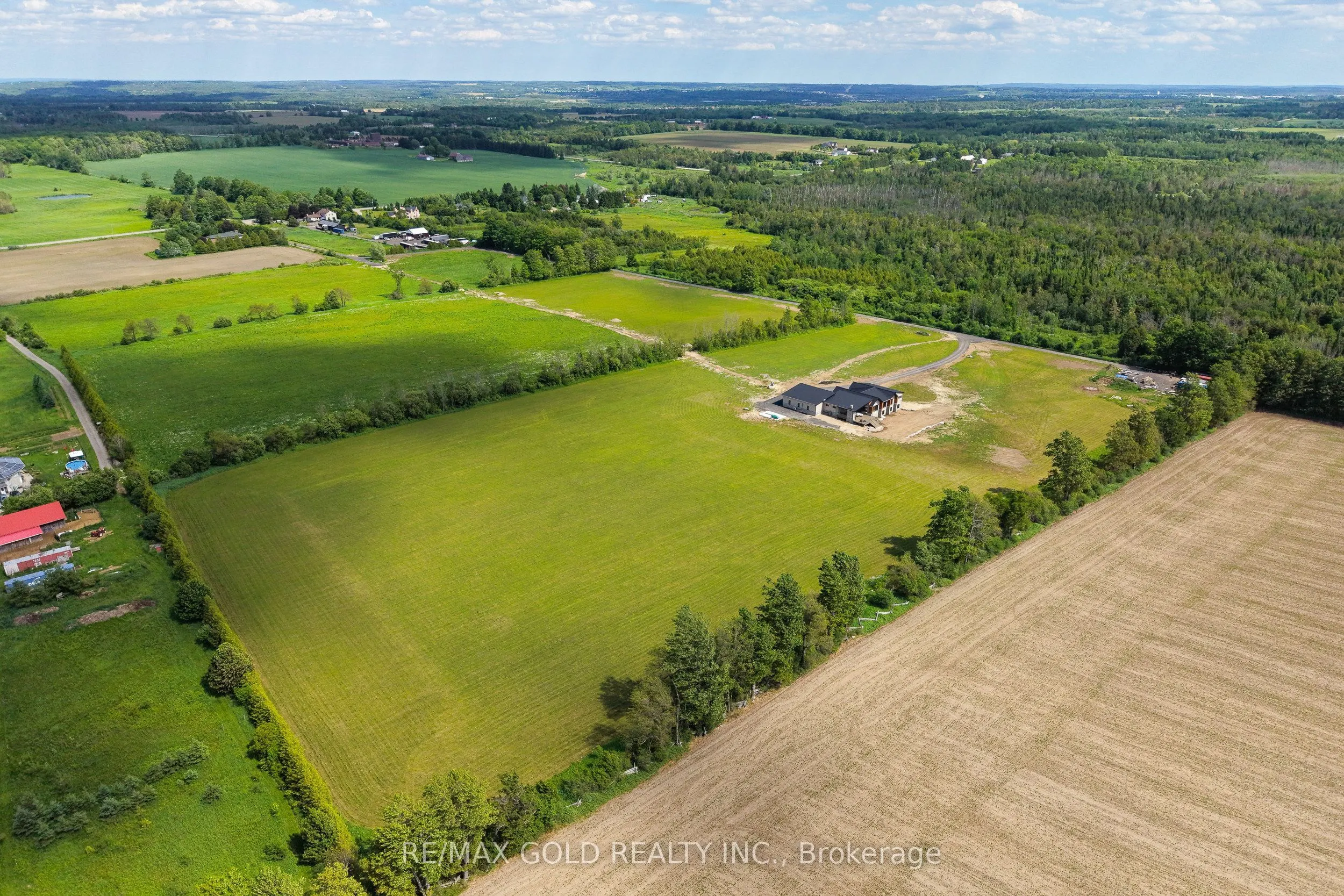 554068 Mono Amaranth Townline