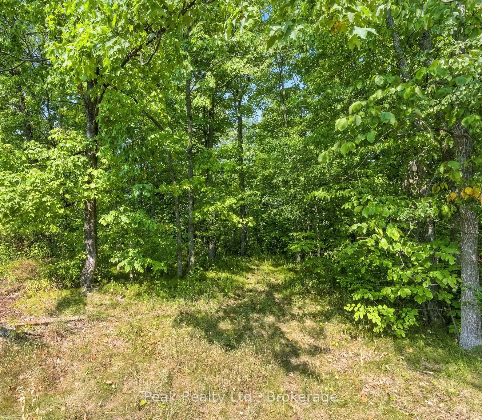 1849 Fry Road