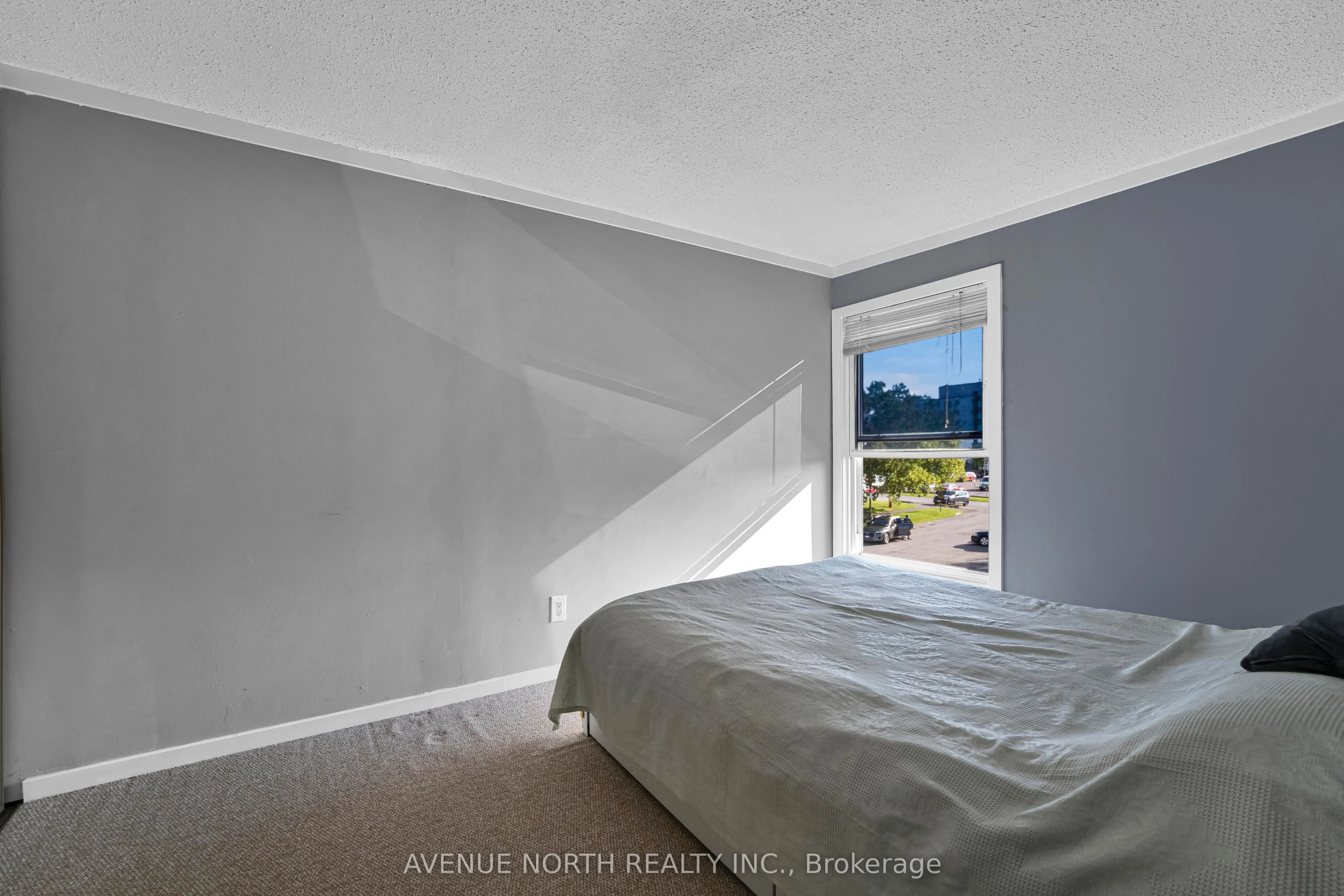 3520 Downpatrick Road #41