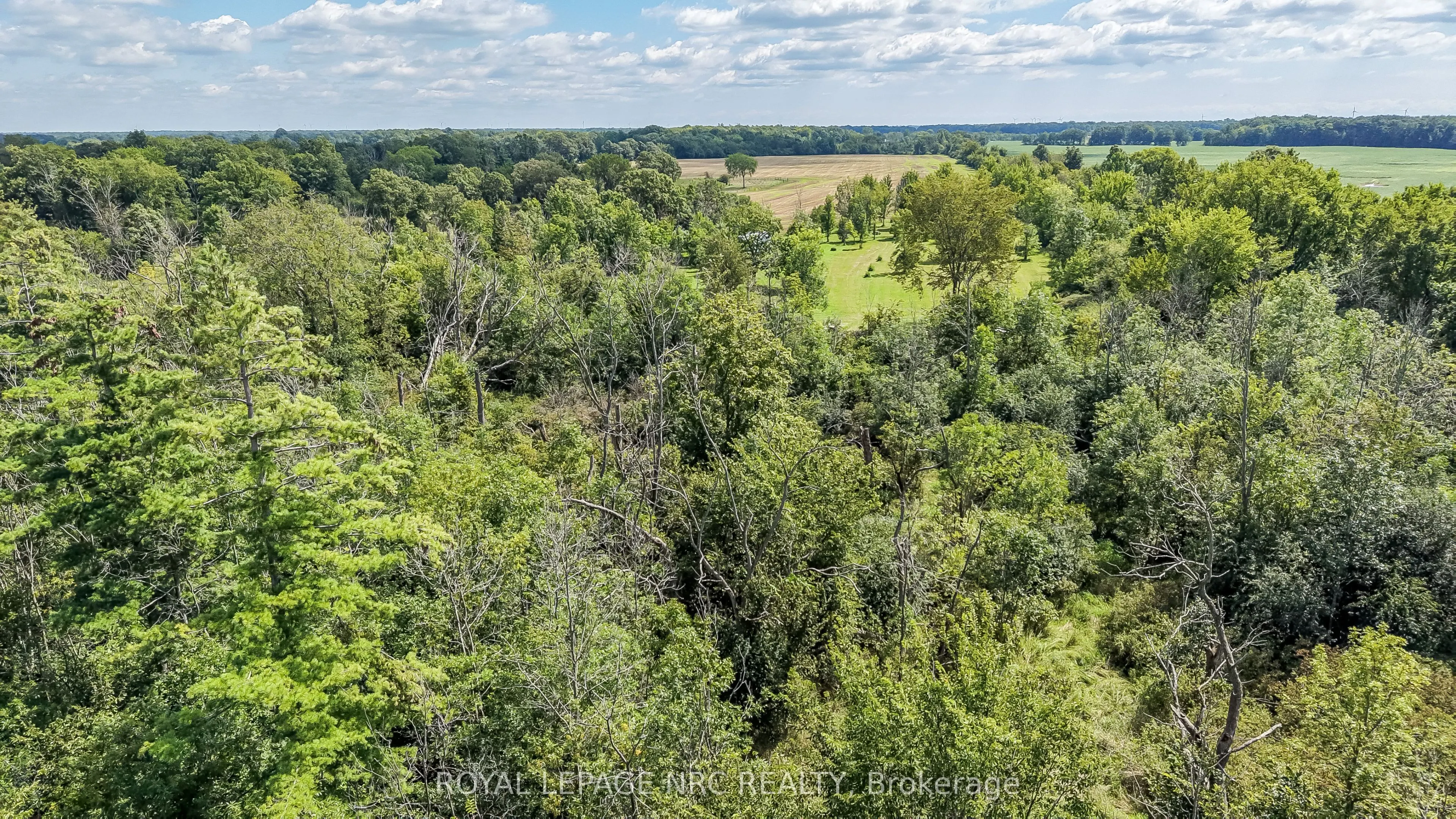 1320 Concession 1 Road