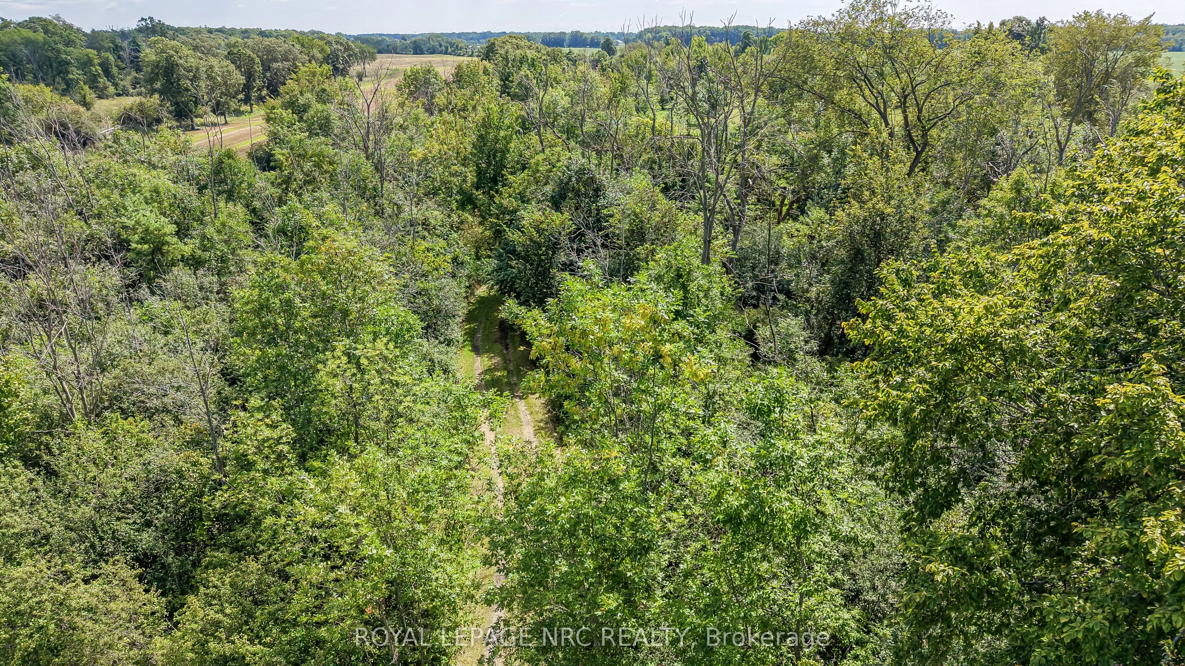 1320 Concession 1 Road