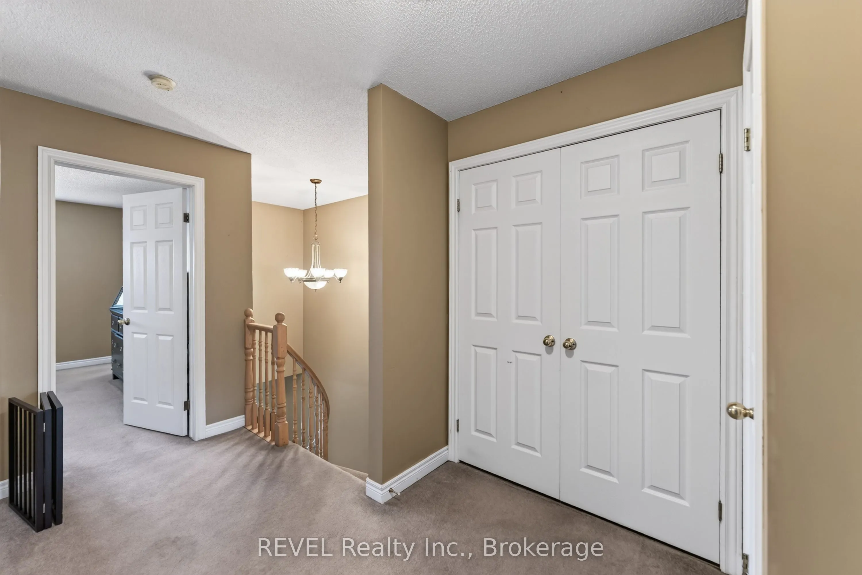 11 Elderberry Avenue