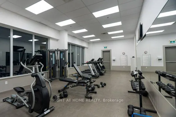550 North Service Road #809