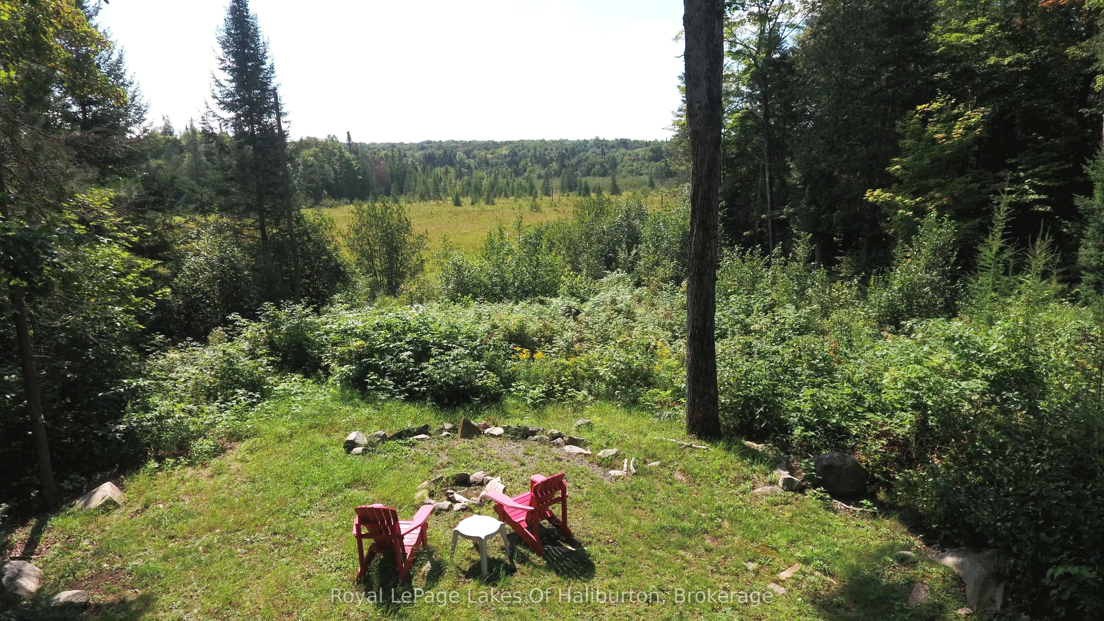 1337 Irish Line Road