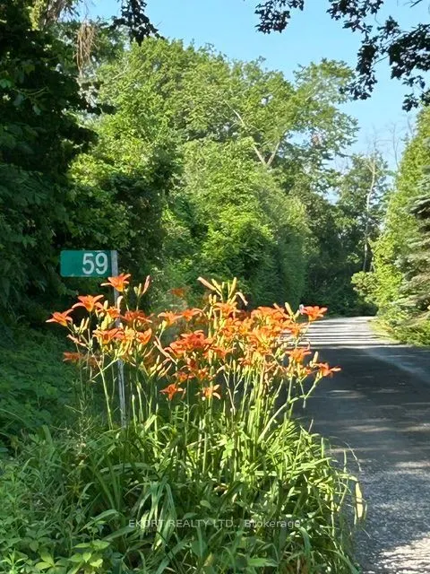 59 Bishop Lane