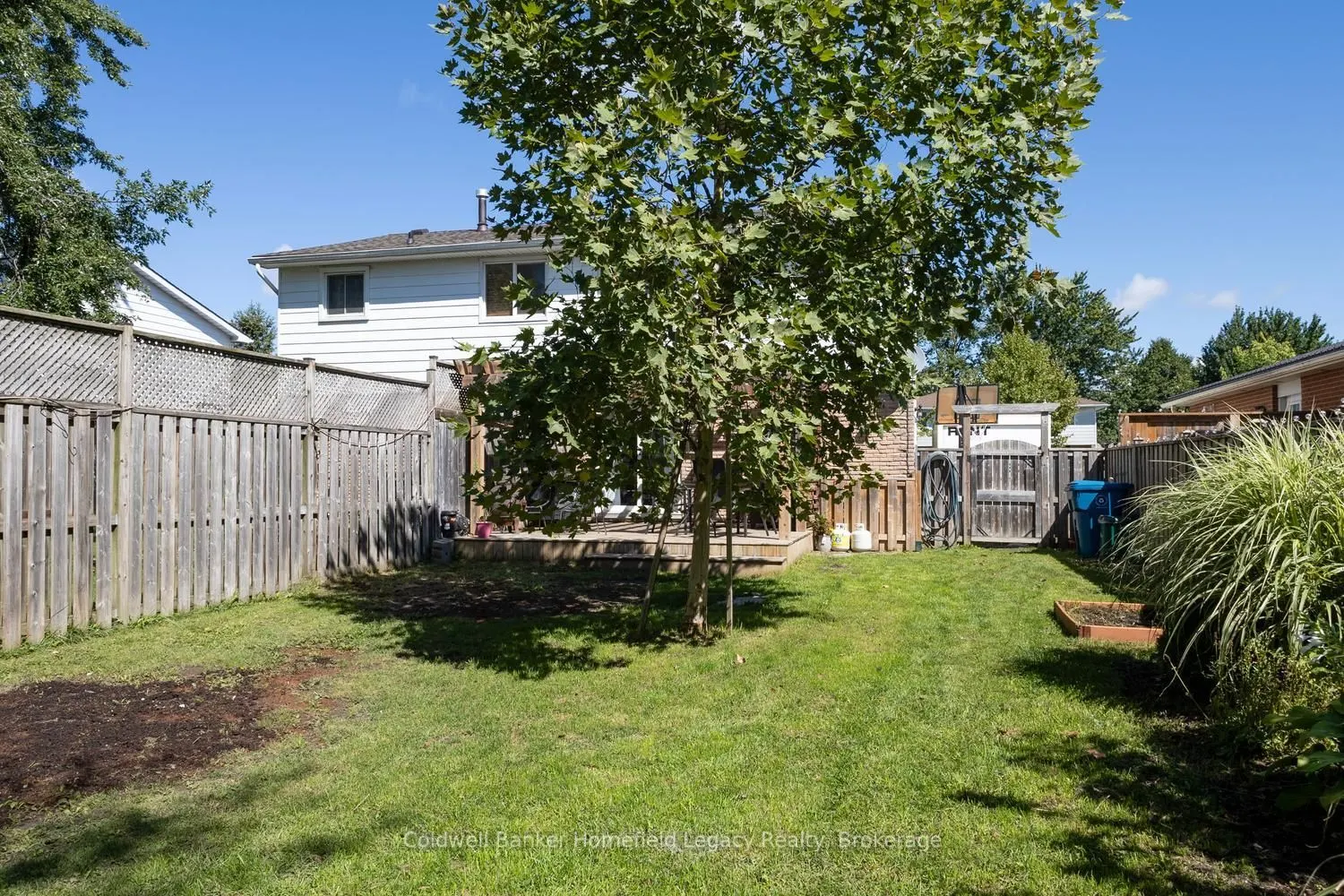 185 Maple Avenue