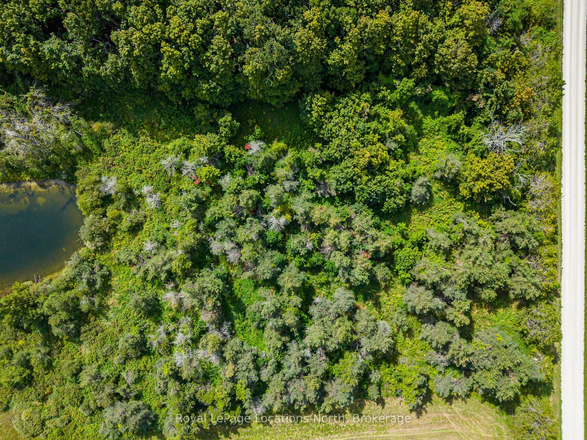 Lot 15 3rd Line E