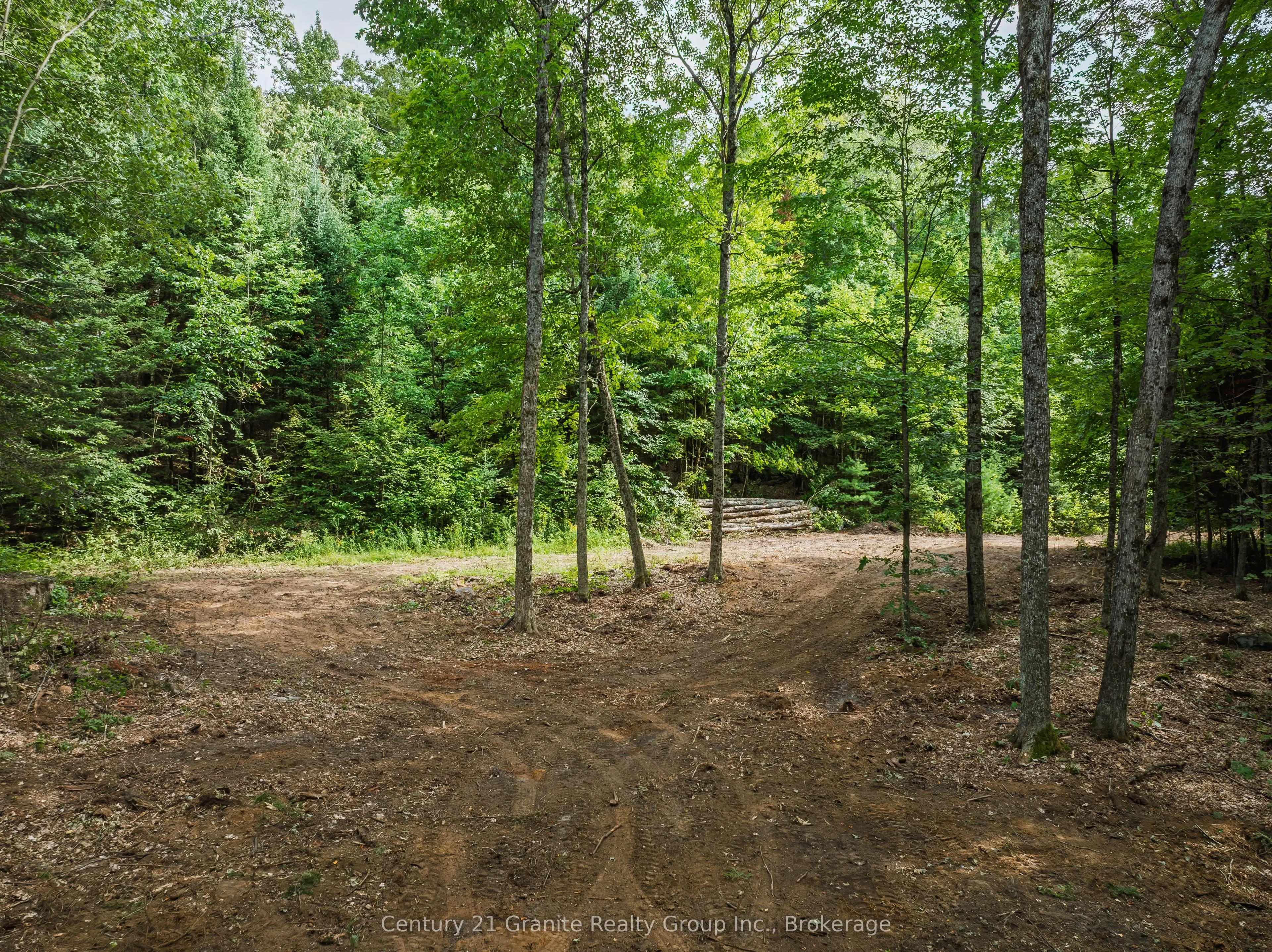 1241 Koshlong Lake Road