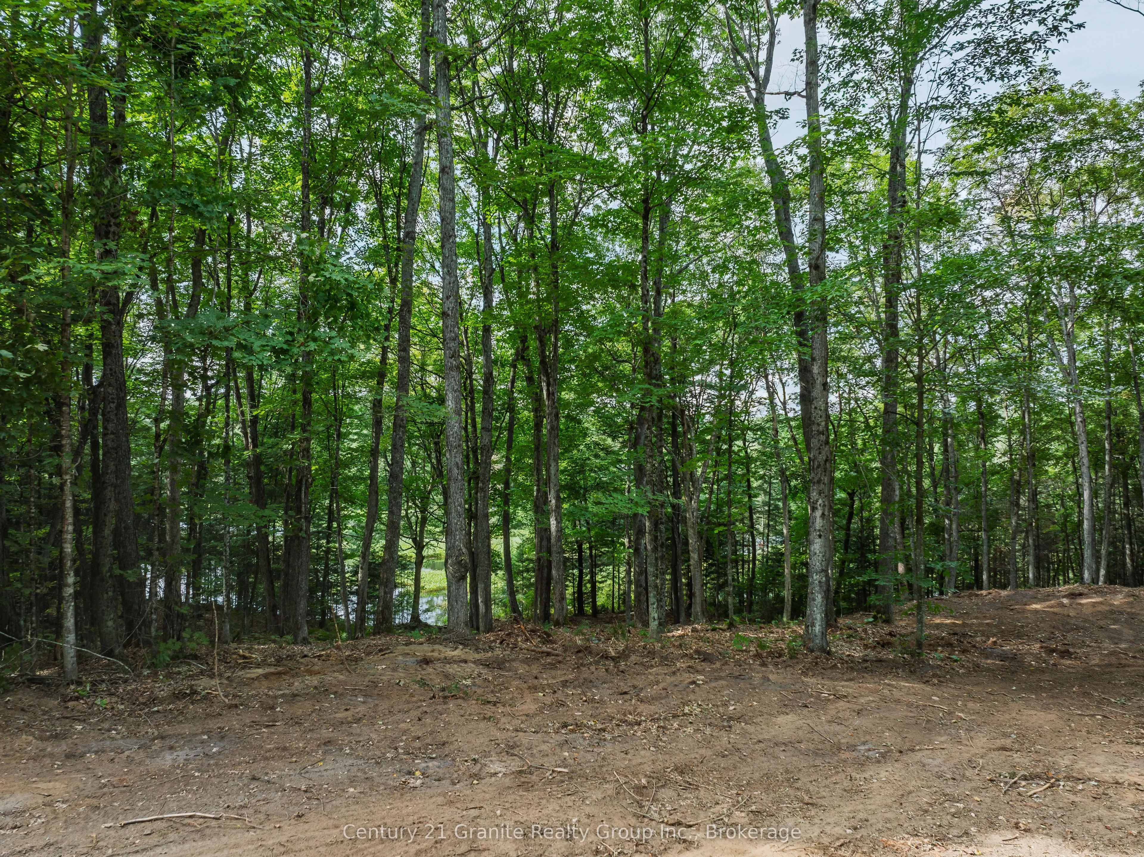 1241 Koshlong Lake Road