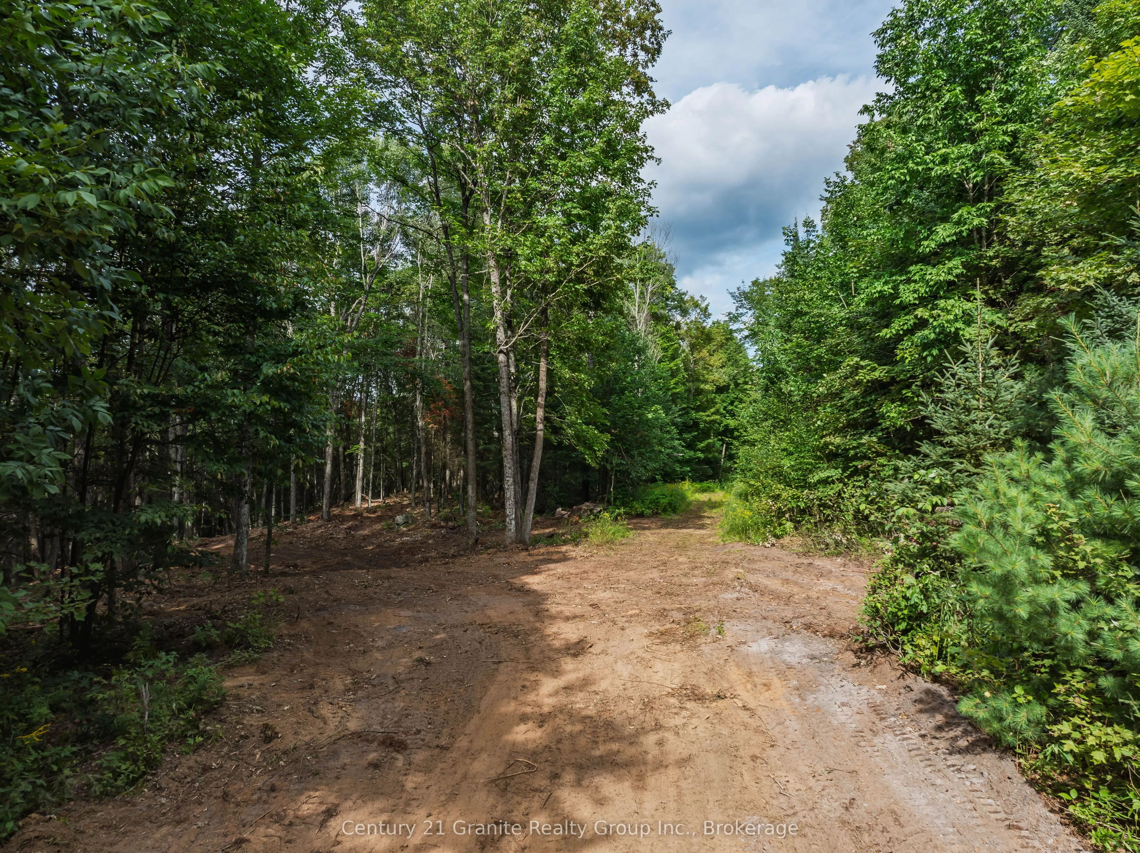 1241 Koshlong Lake Road