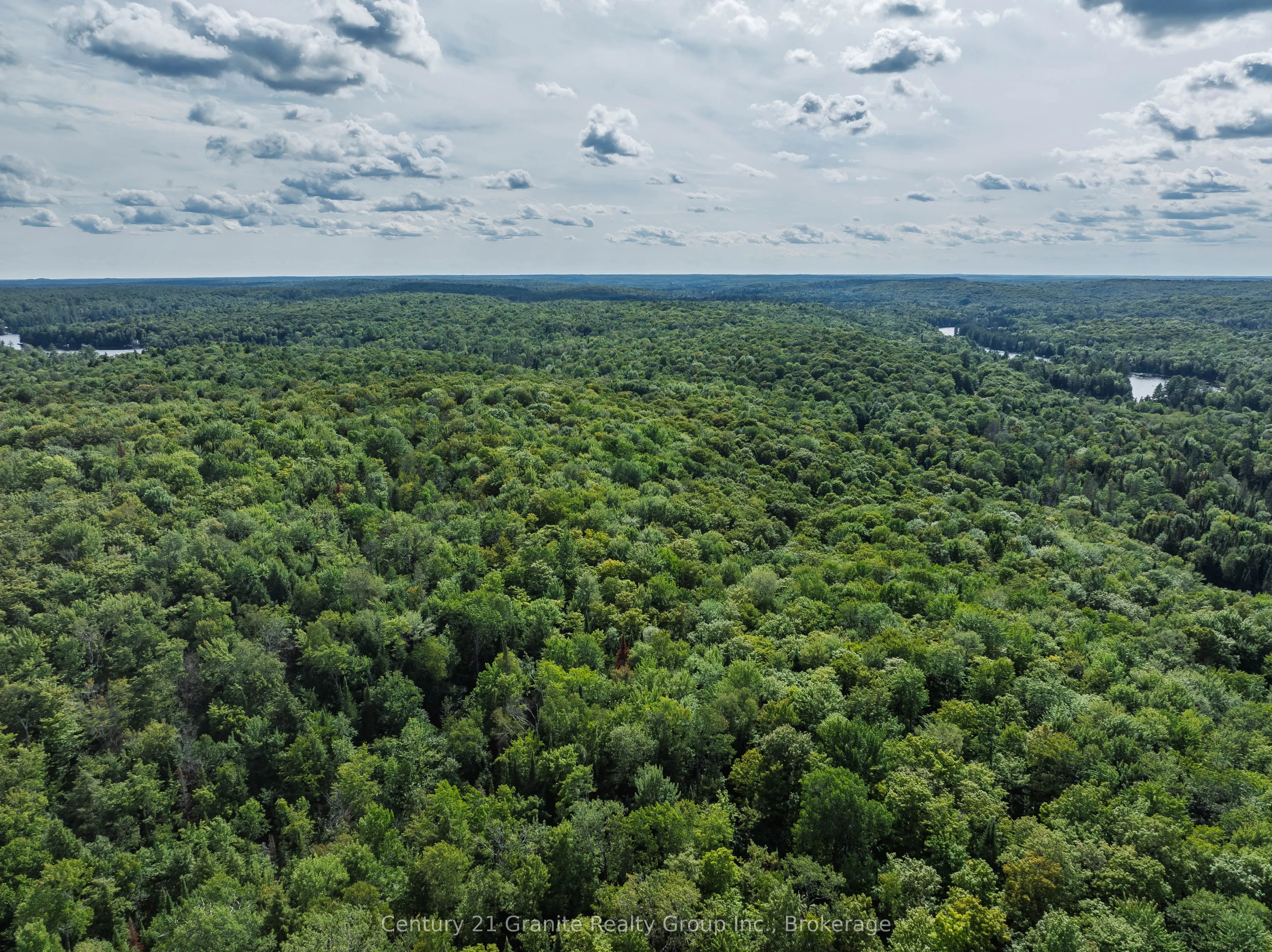 1241 Koshlong Lake Road