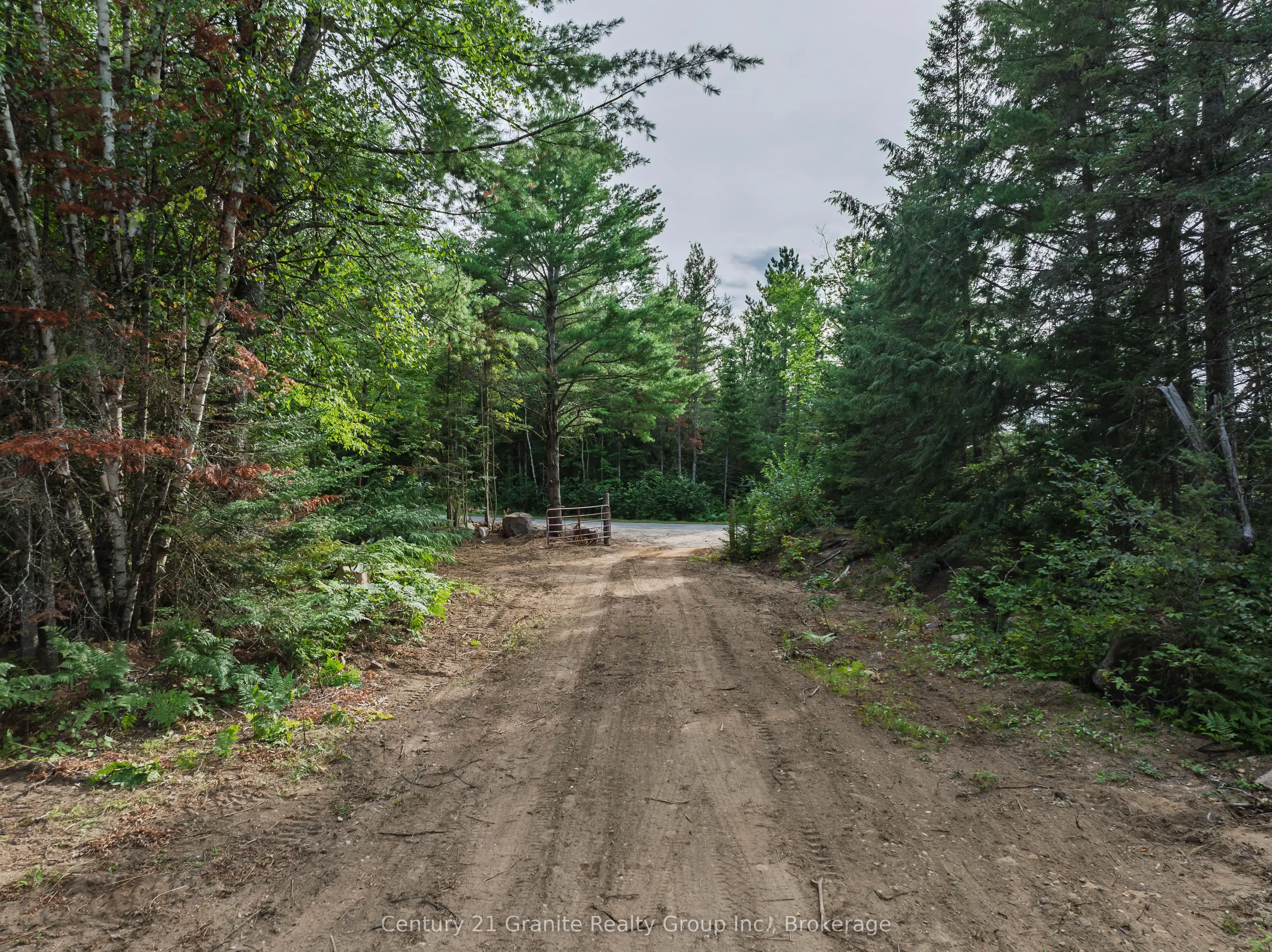 1241 Koshlong Lake Road