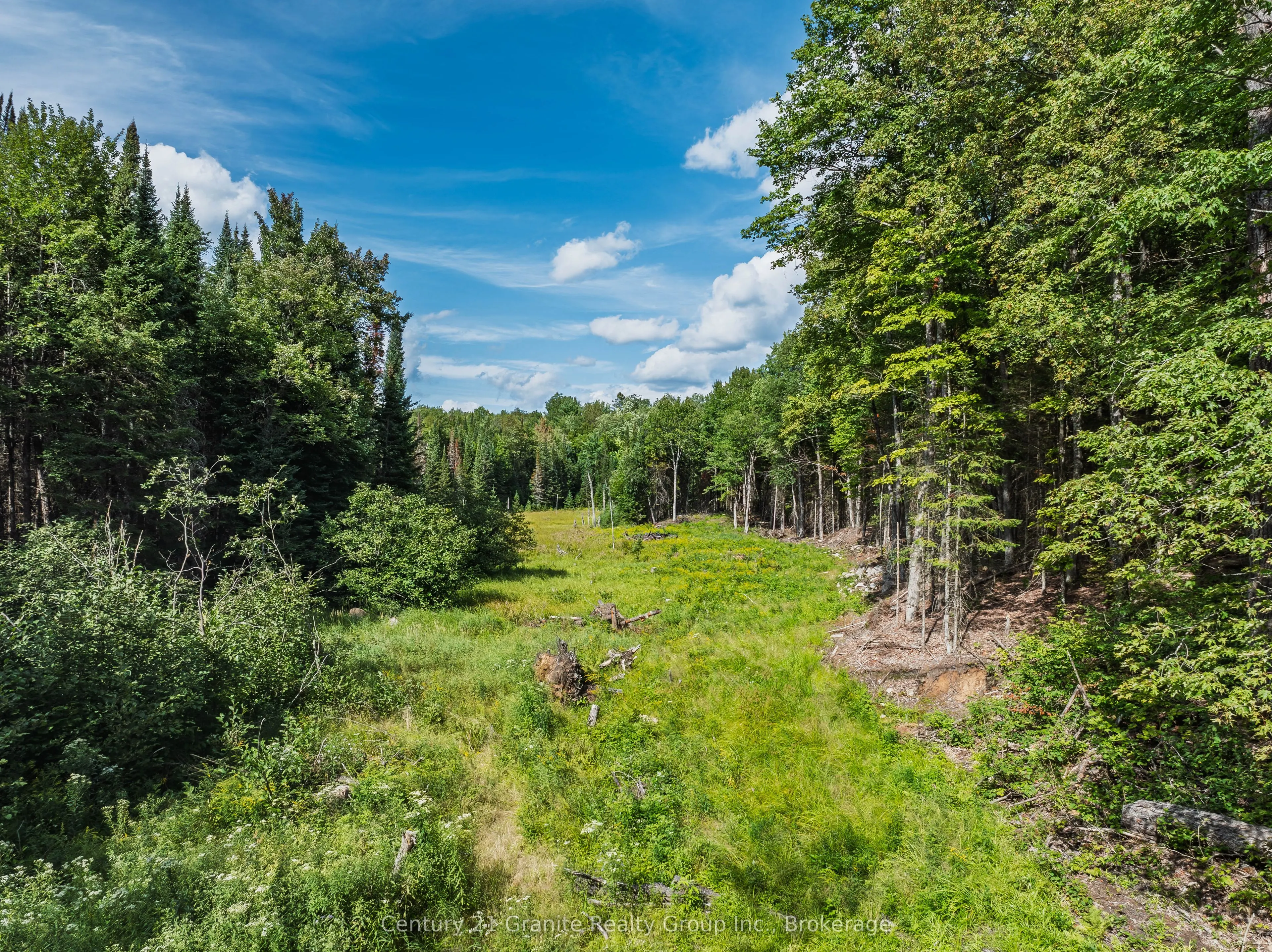 1241 Koshlong Lake Road