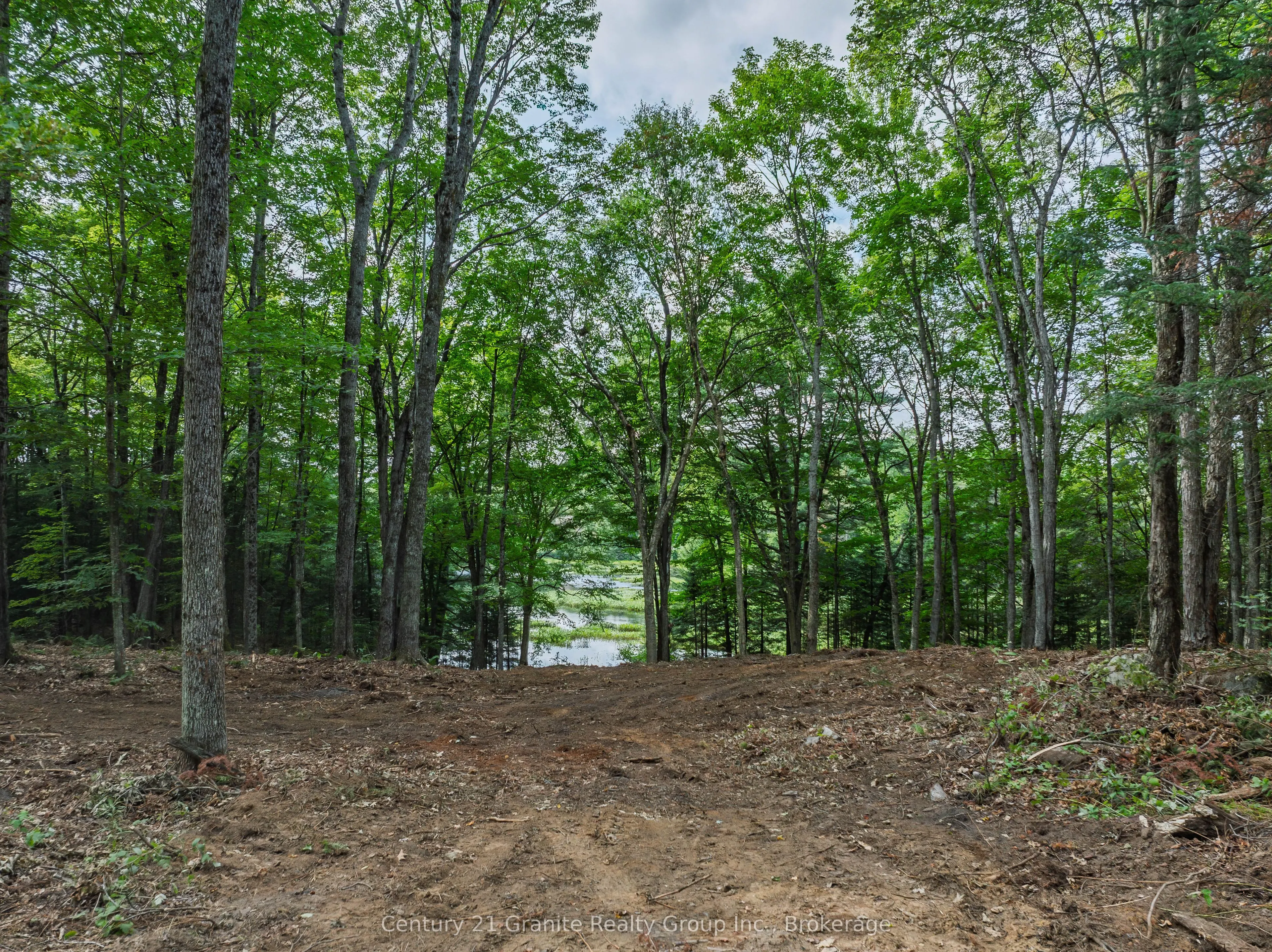 1241 Koshlong Lake Road