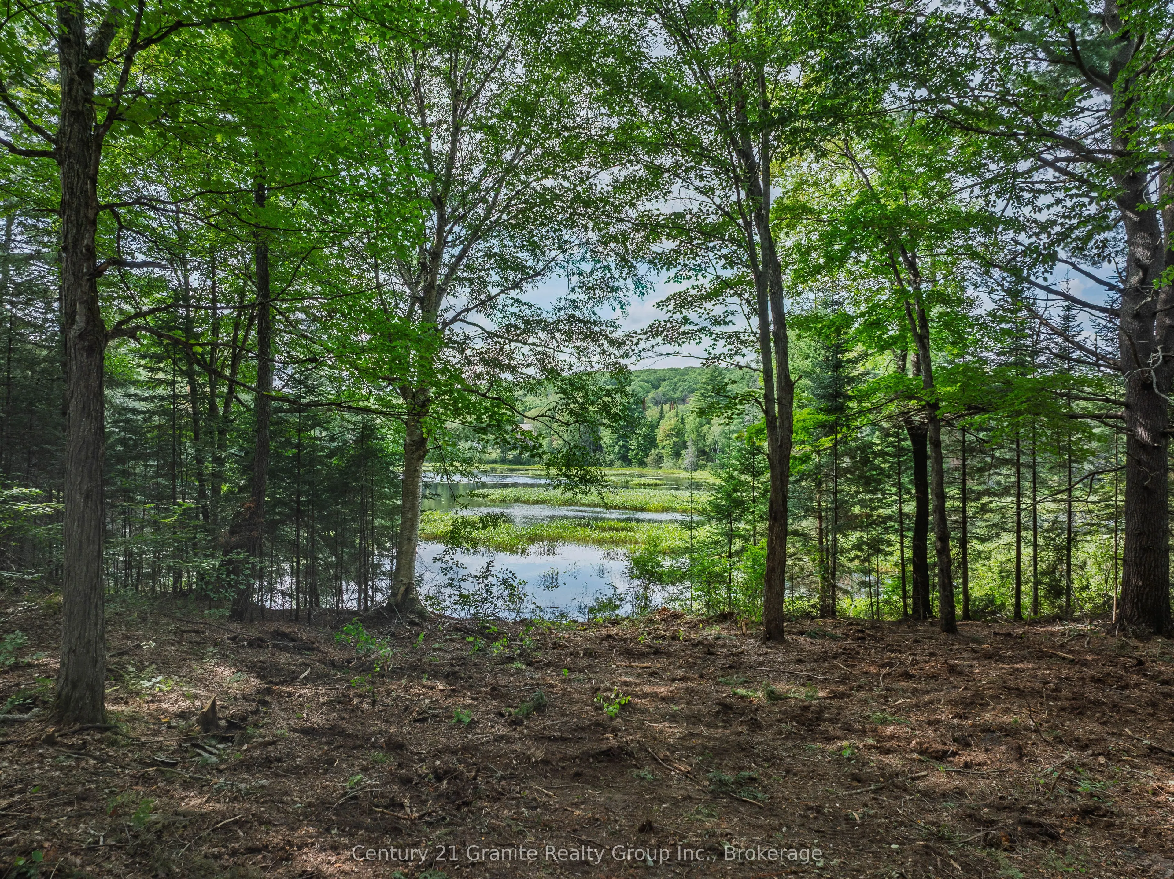 1241 Koshlong Lake Road