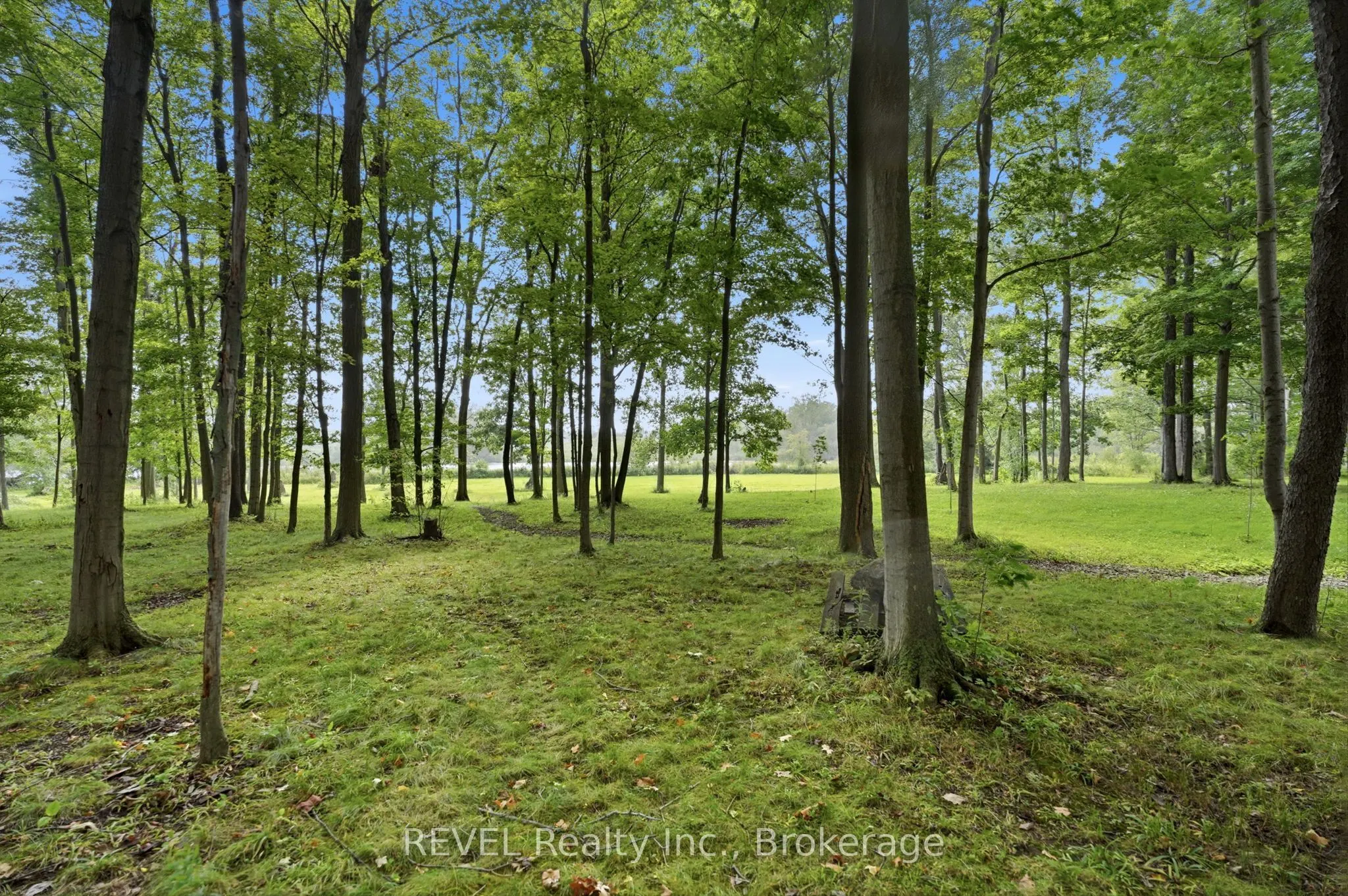 1247 Chippawa Creek Road