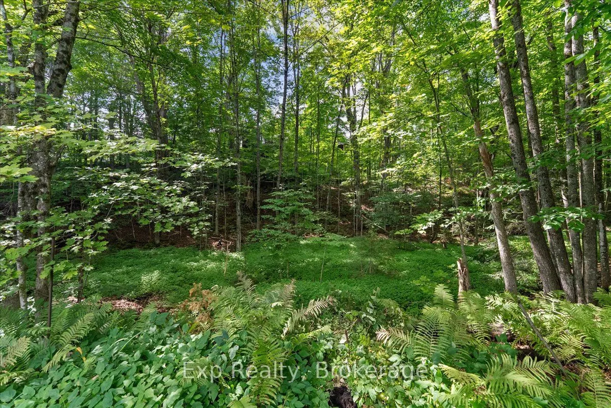26 Sherbourne Street N