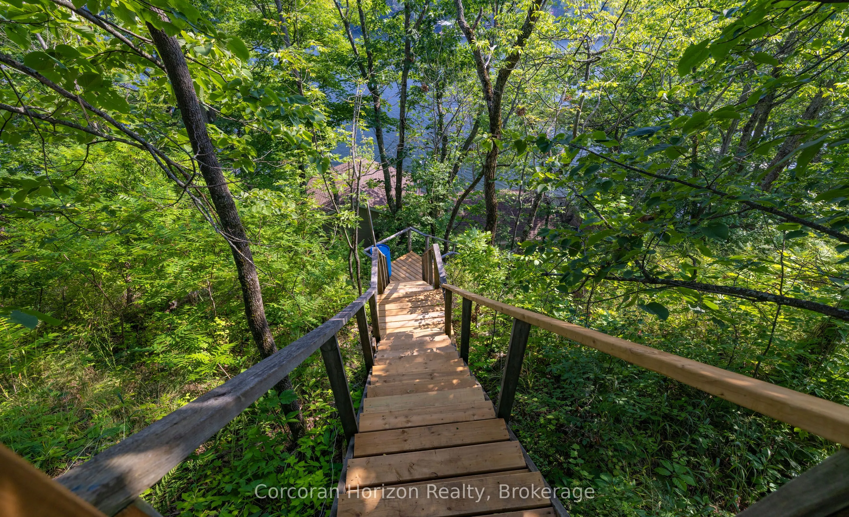959 HARRISON Trail