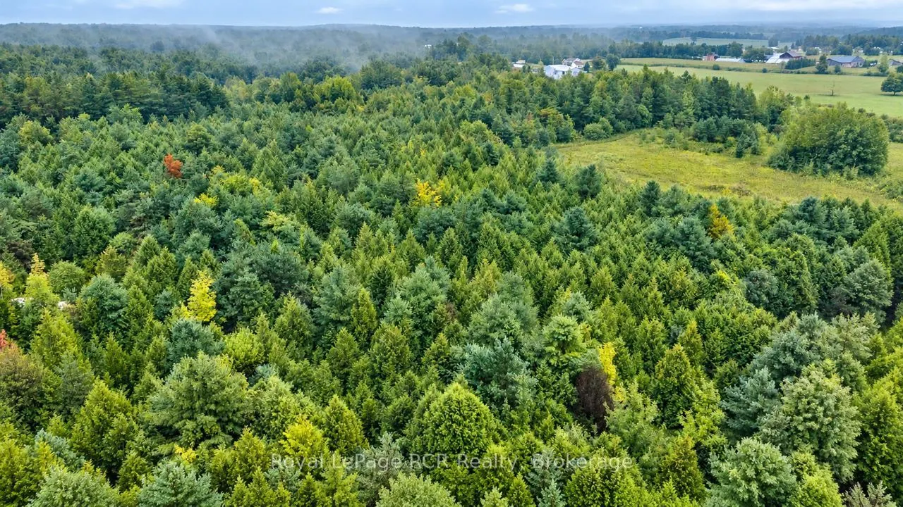 585216 Sideroad 10A