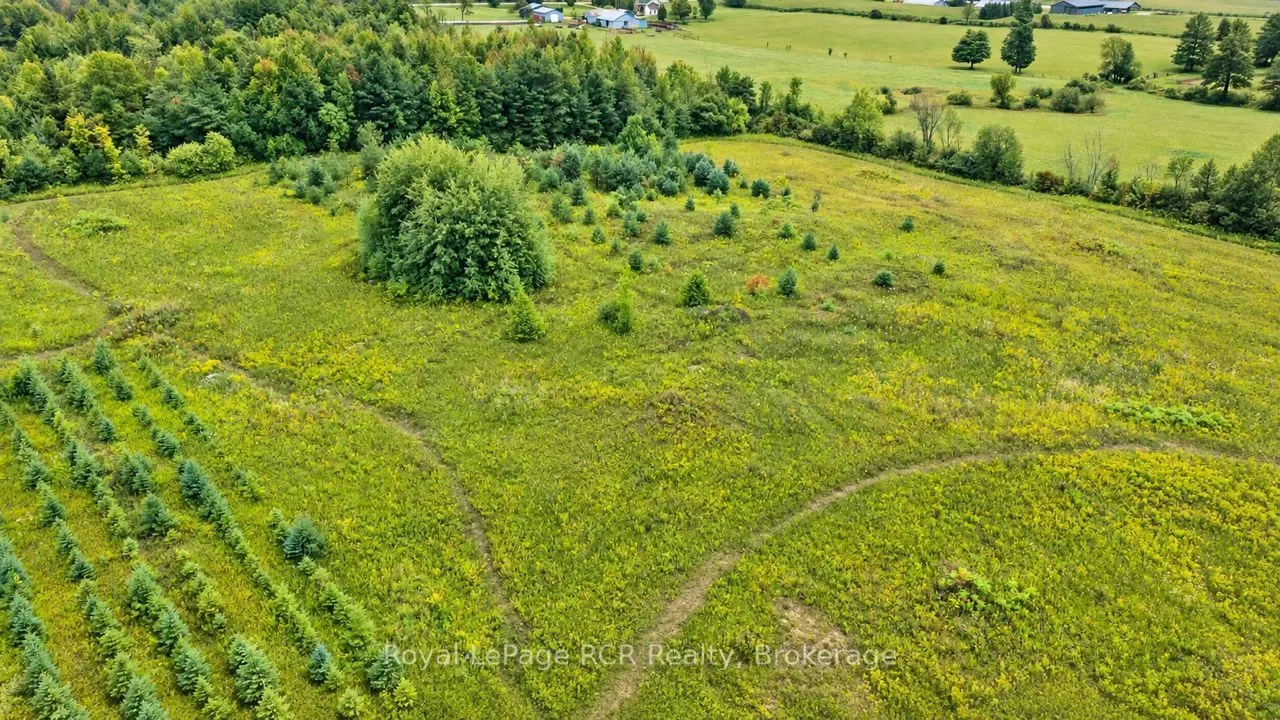 585216 Sideroad 10A